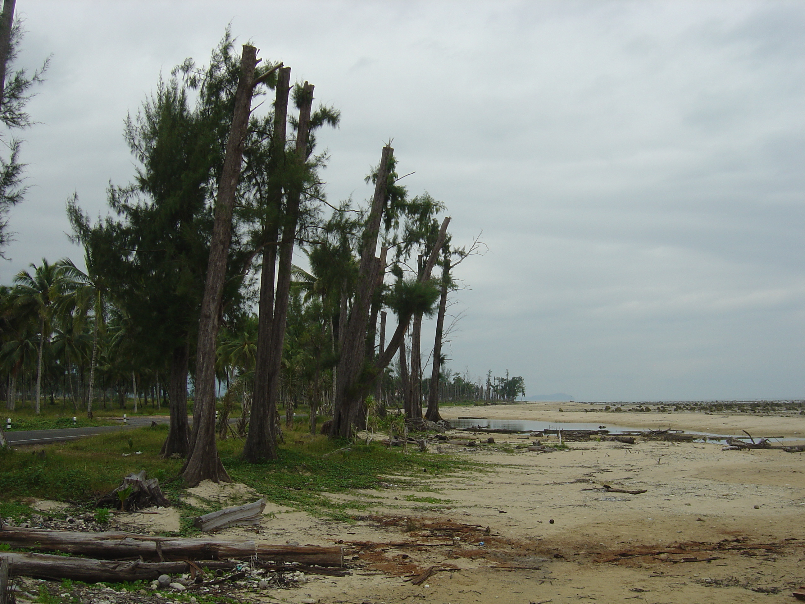 รูปถ่าย ไทย(Thailand) เขาหลัก(Khao Lak) 2005-12 48