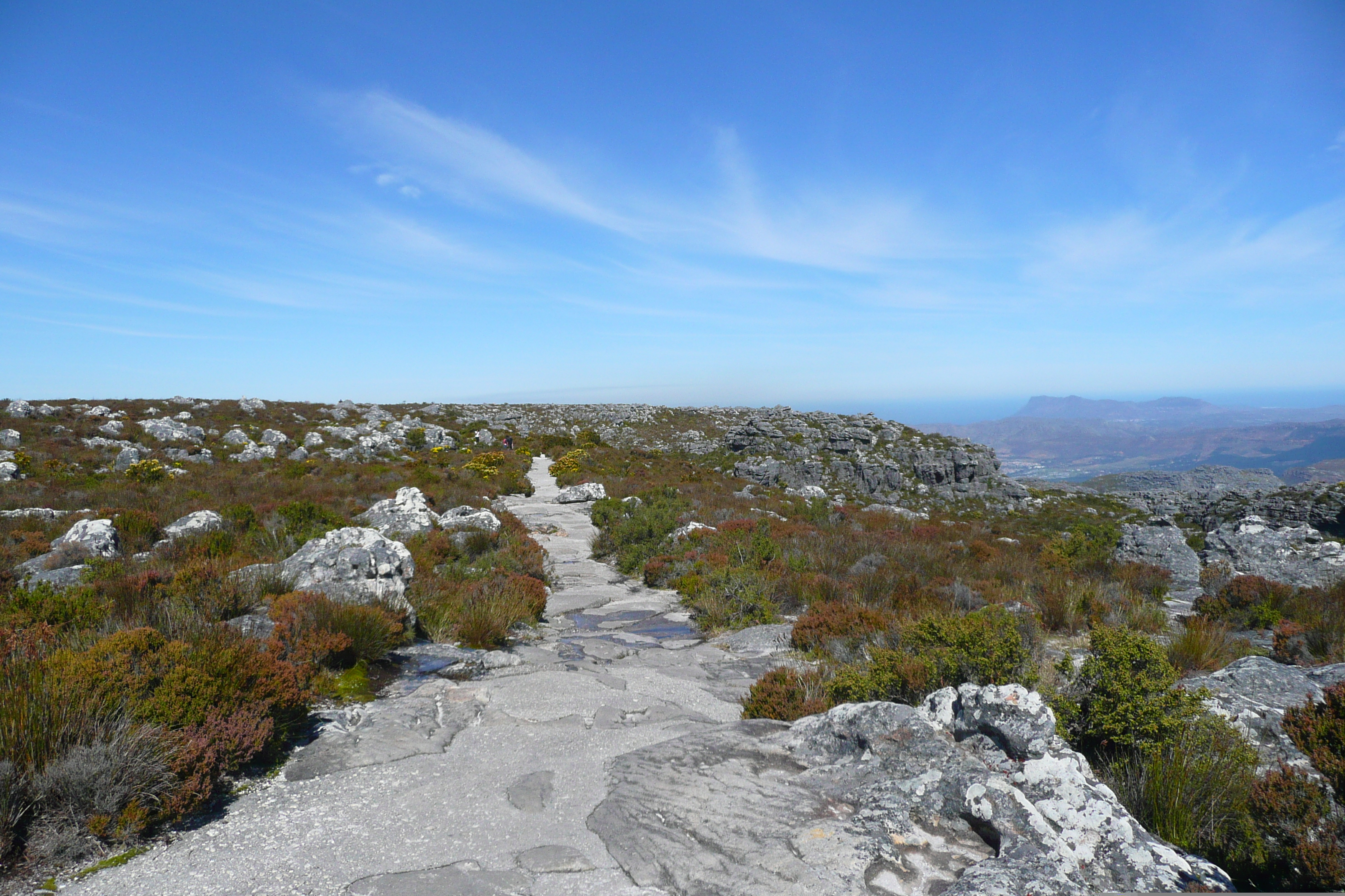 รูปถ่าย แอฟริกาใต้(South Africa) เคปทาวน์(Cape Town) ภูเขาเทเบิล(Table Mountain) 2008-09 31