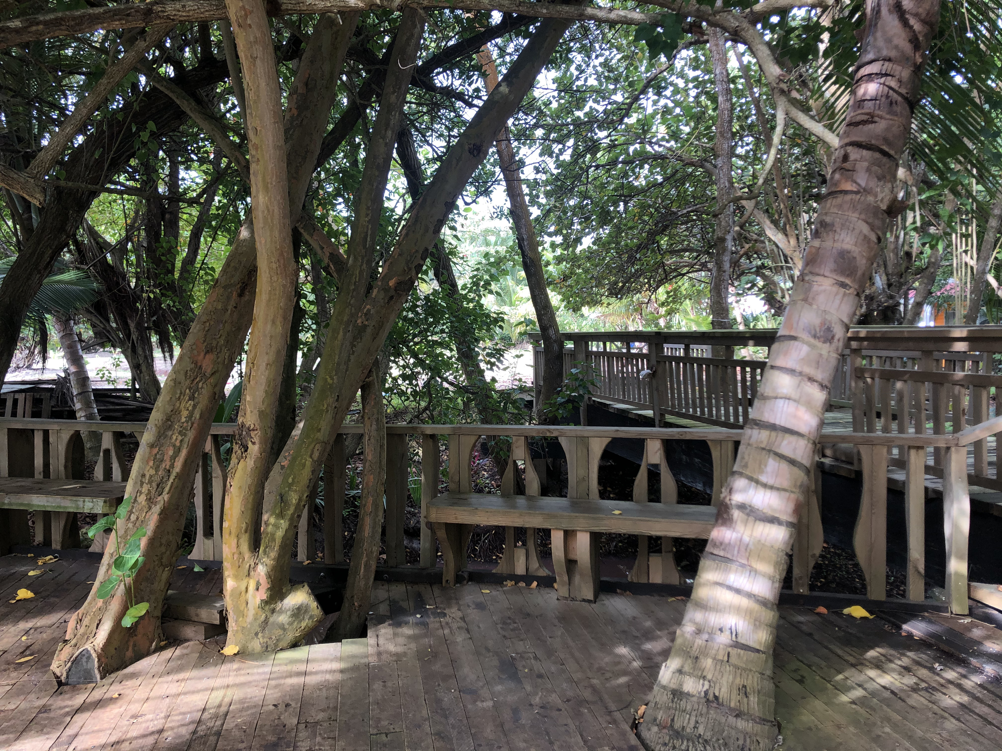รูปถ่าย กวาเดอลูป(Guadeloupe) แซ็งตาน(Sainte Anne) 2021-02 18