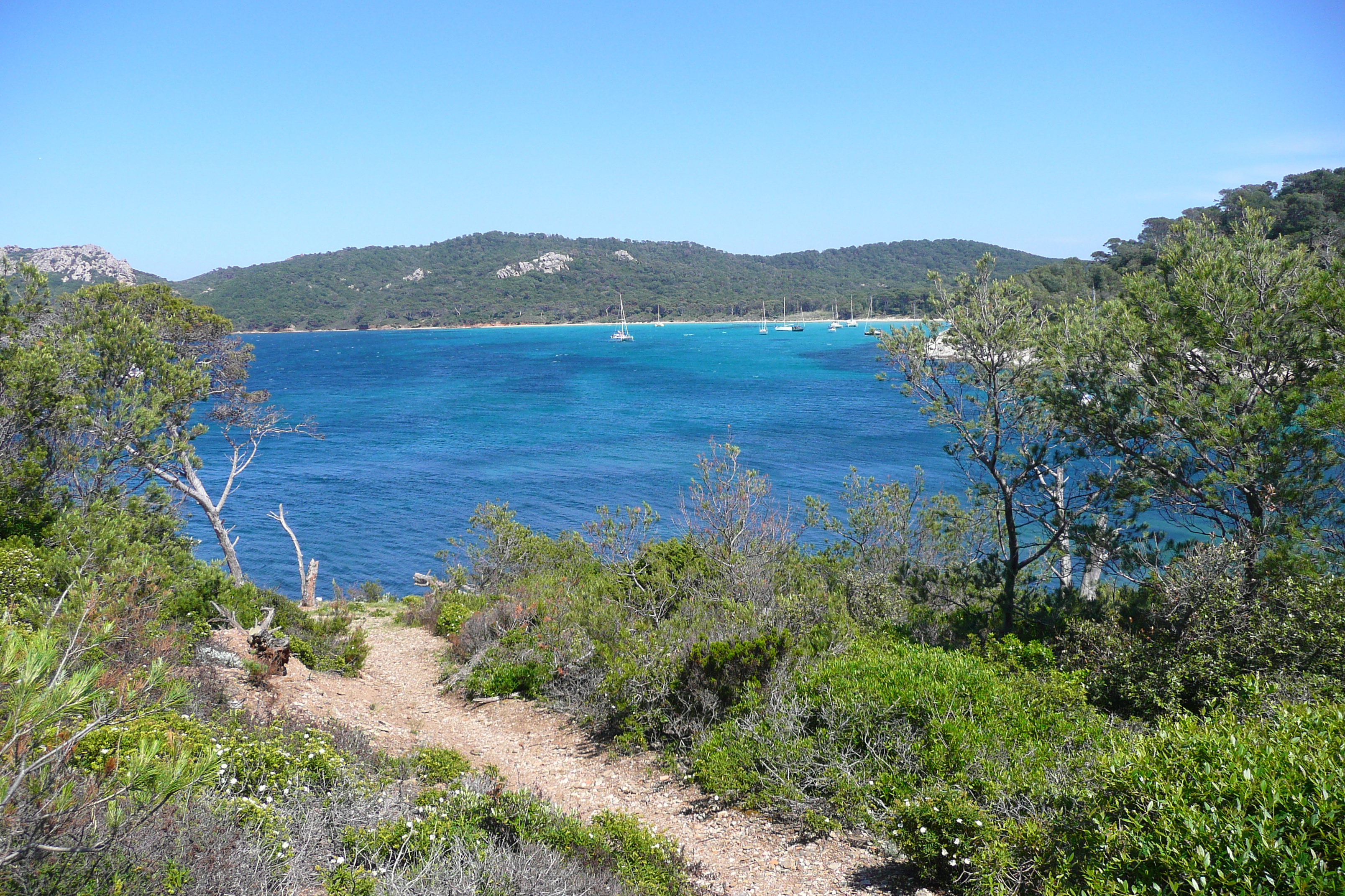 รูปถ่าย ฝรั่งเศส(France) เกาะปอร์เกอรอล(Porquerolles Island) หาดอาลีกัสตร์(Alycastre beach) 2008-05 5