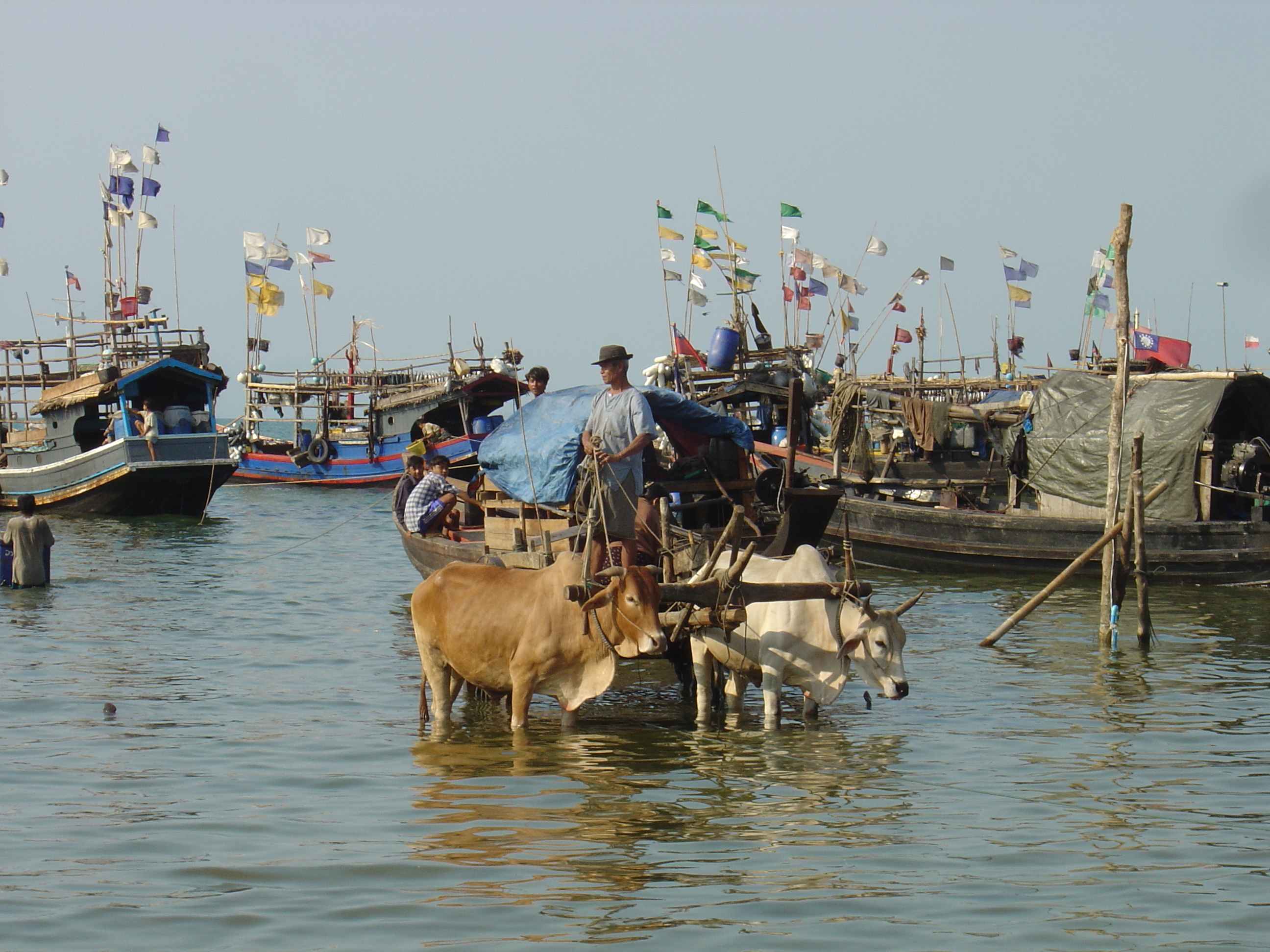 รูปถ่าย พม่า(Myanmar) หาดหม่องมะกัน(Maungmagan beach) 2005-01 25