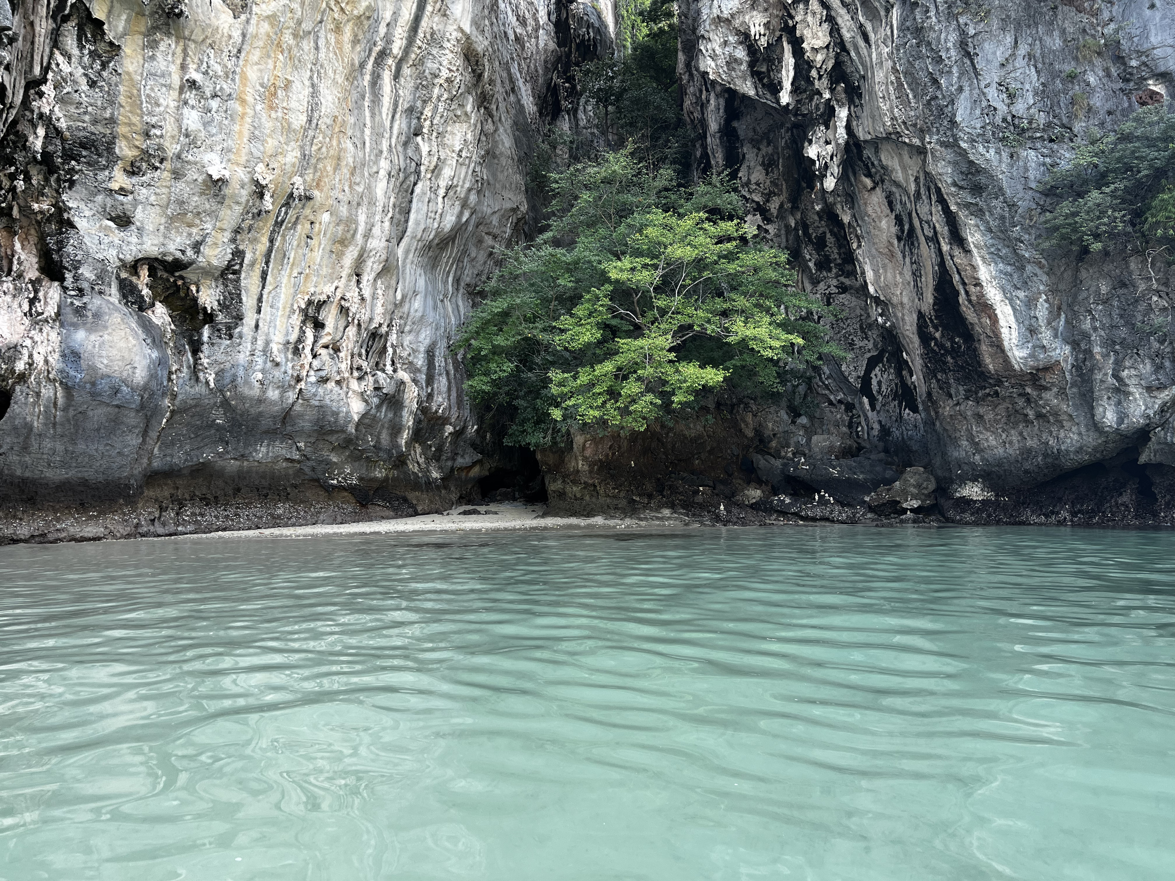 รูปถ่าย ไทย(Thailand) กระบี่(Krabi) 2023-01 369