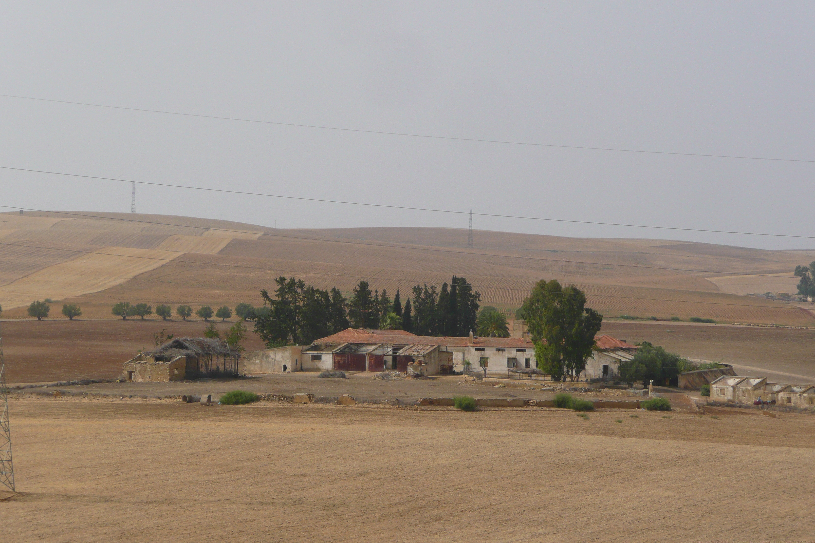 รูปถ่าย โมร็อกโก(Morocco) ถนนจากเฟสไปราบัต(Fes to Rabat Road) 2008-07 48