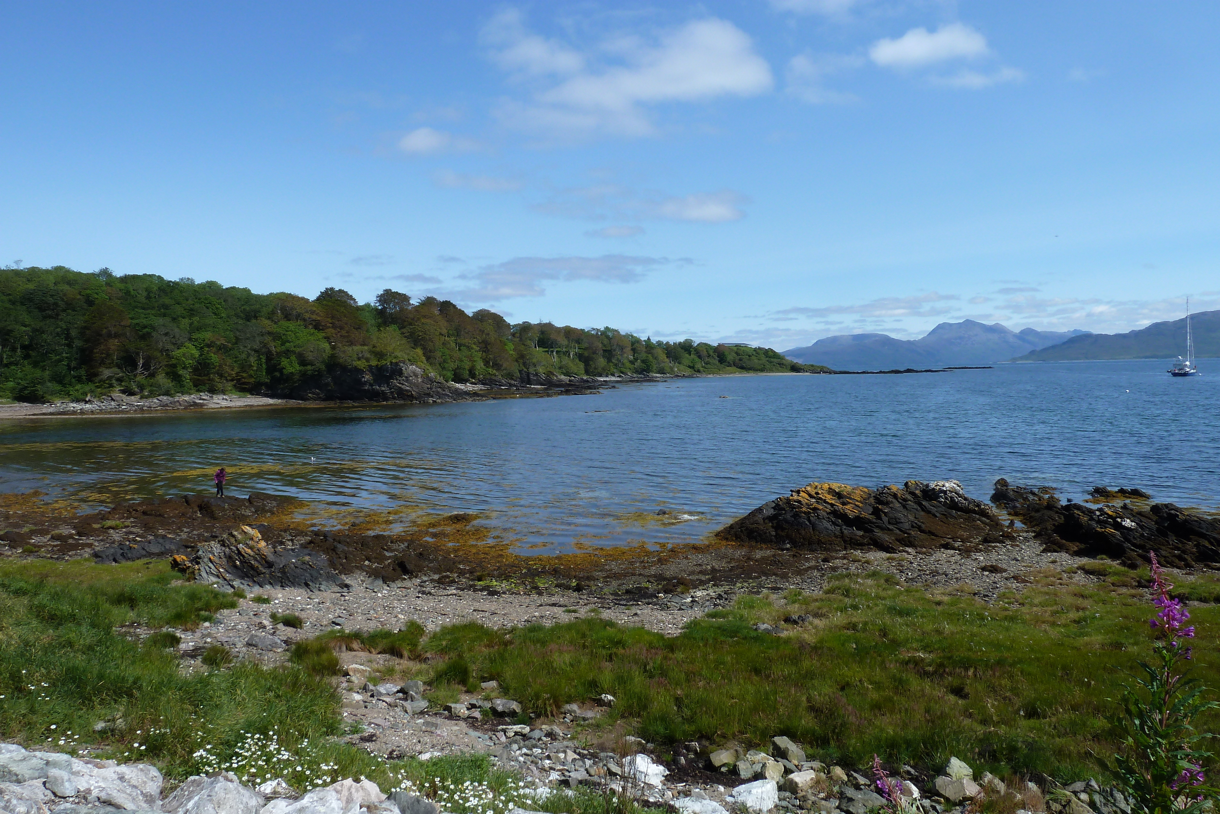 รูปถ่าย อังกฤษ(United Kingdom) เกาะสกาย(Skye) 2011-07 257