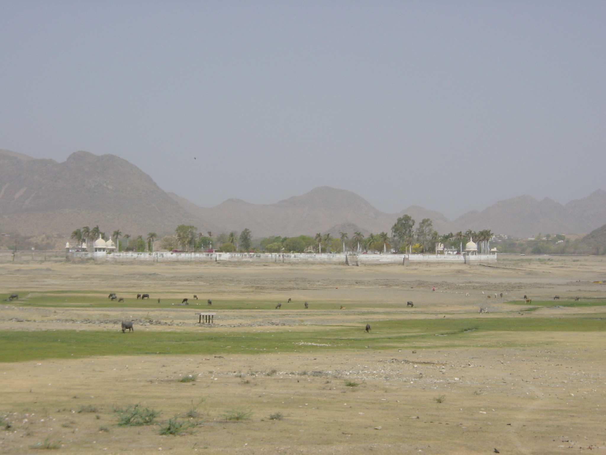 รูปถ่าย อินเดีย(India) อูไดปูร์(Udaipur) 2003-05 13