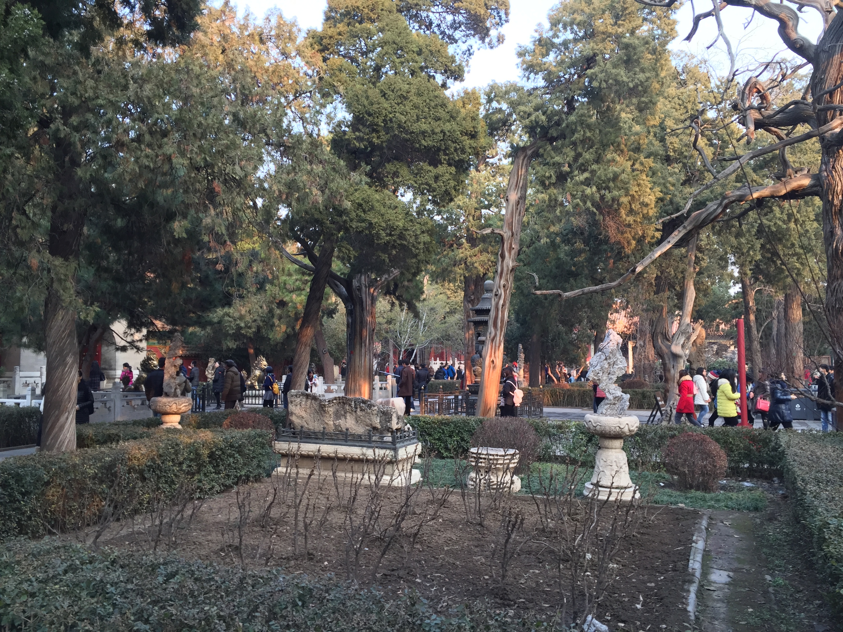 รูปถ่าย จีน(China) ปักกิ่ง(Beijing) พระราชวังต้องห้าม(Forbidden City) 2015-12 134