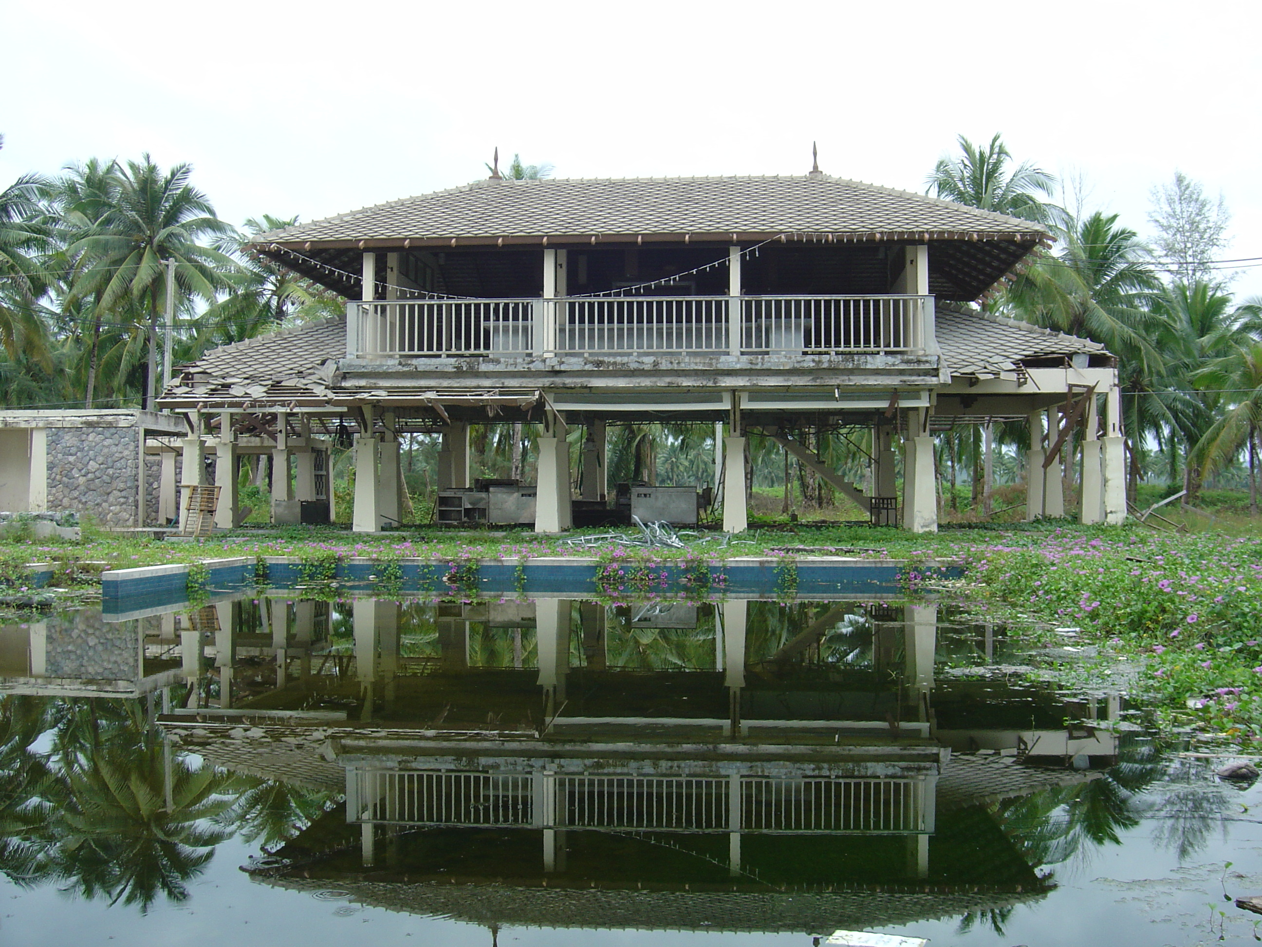 รูปถ่าย ไทย(Thailand) เขาหลัก(Khao Lak) 2005-12 41