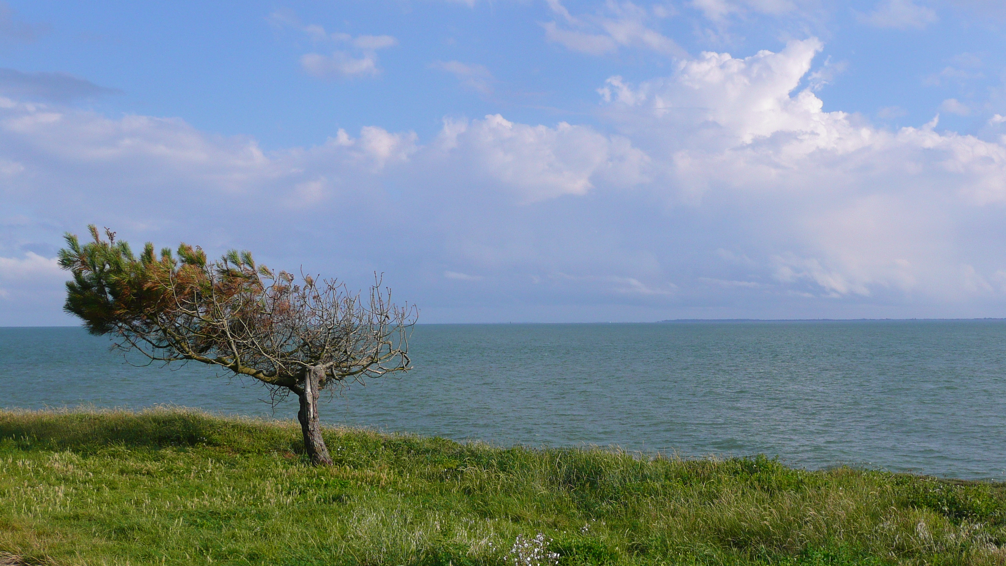 รูปถ่าย ฝรั่งเศส(France) เพรฟาย(Prefailles) จากเปรฟายไปท่าเรือเมอเลอ(Prefailles to Port Meuleu) 2007-07 28