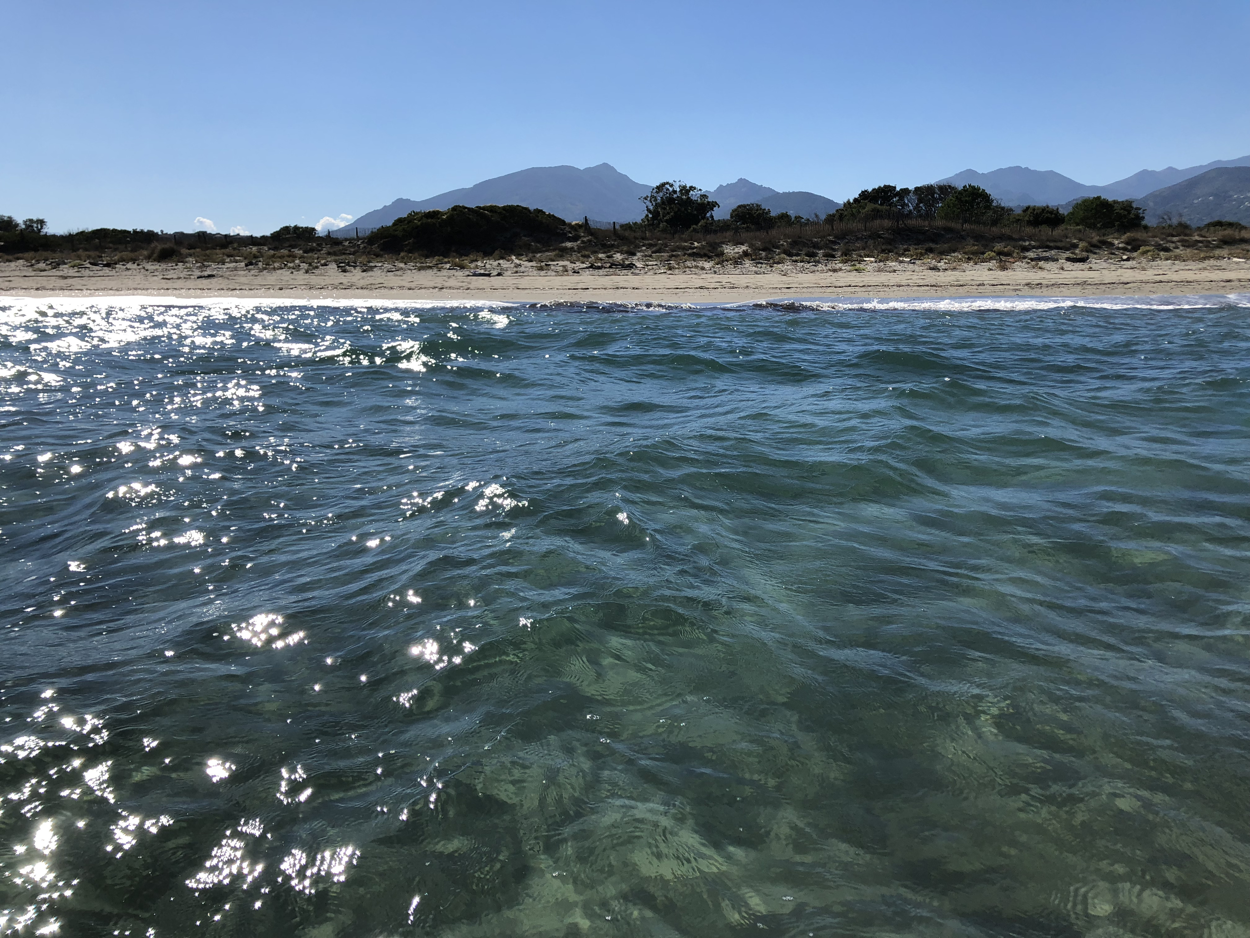 รูปถ่าย ฝรั่งเศส(France) คอร์สิคา(Corsica) ซานจูเลียโน(San Giuliano) 2018-09 32