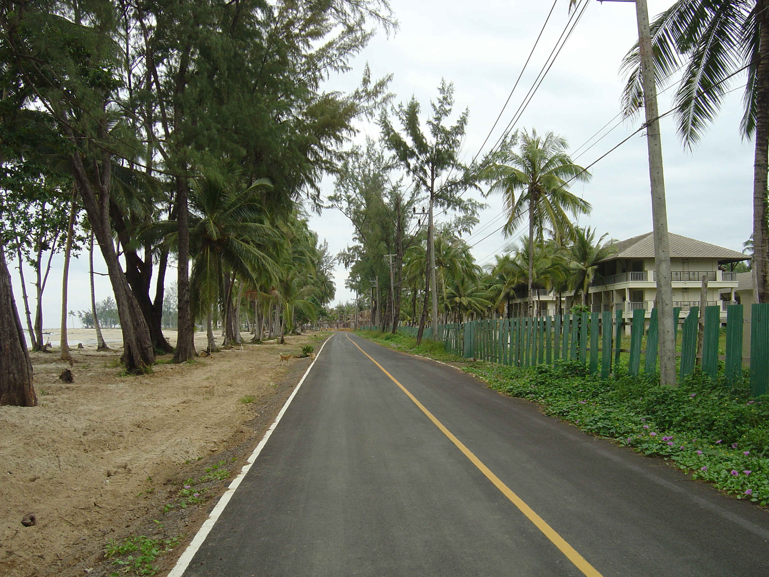 รูปถ่าย ไทย(Thailand) เขาหลัก(Khao Lak) 2005-12 13