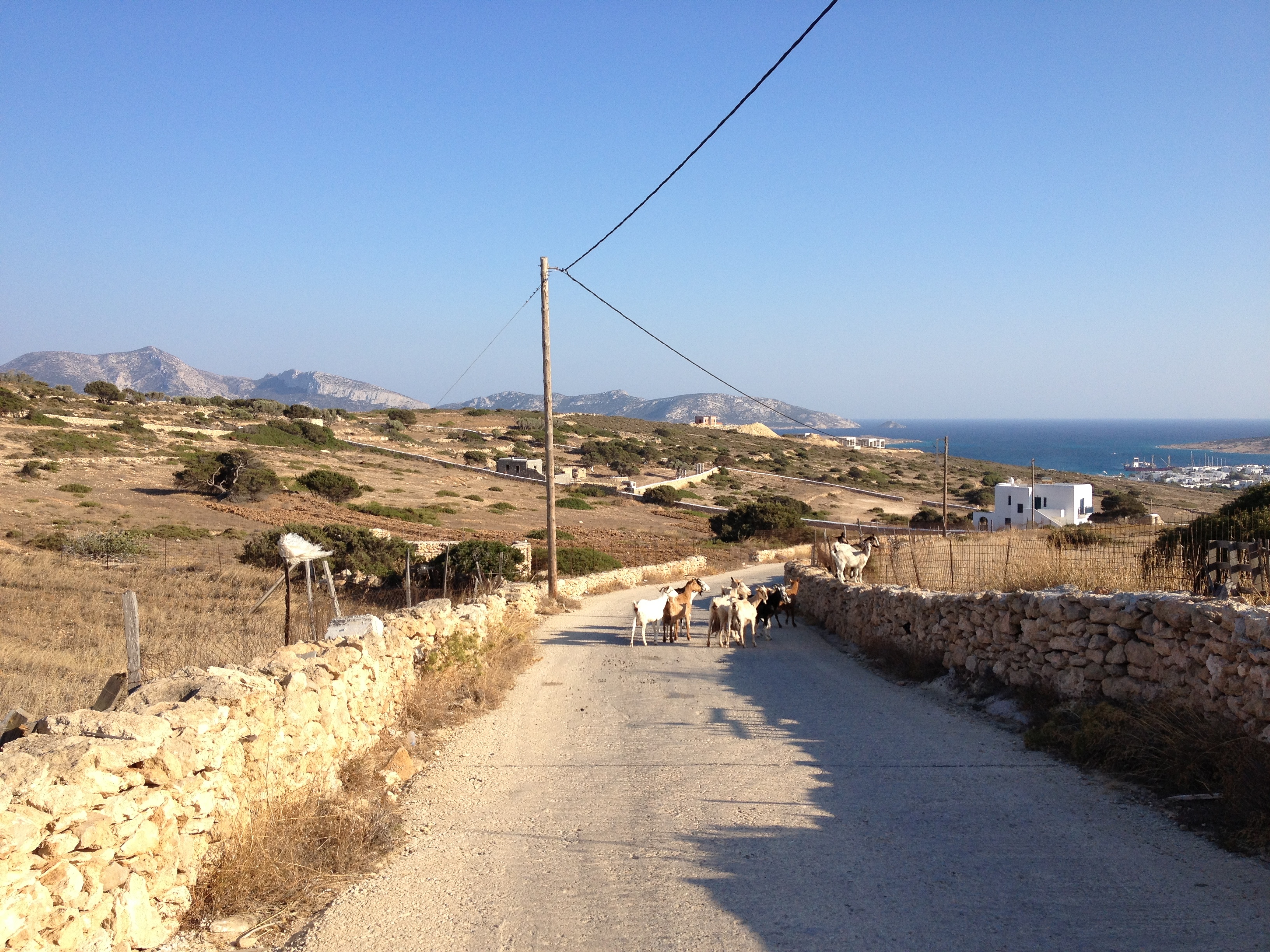 รูปถ่าย กรีก(Greece) เกาะคูโฟนิสเซีย(Koufonissia) 2014-07 44
