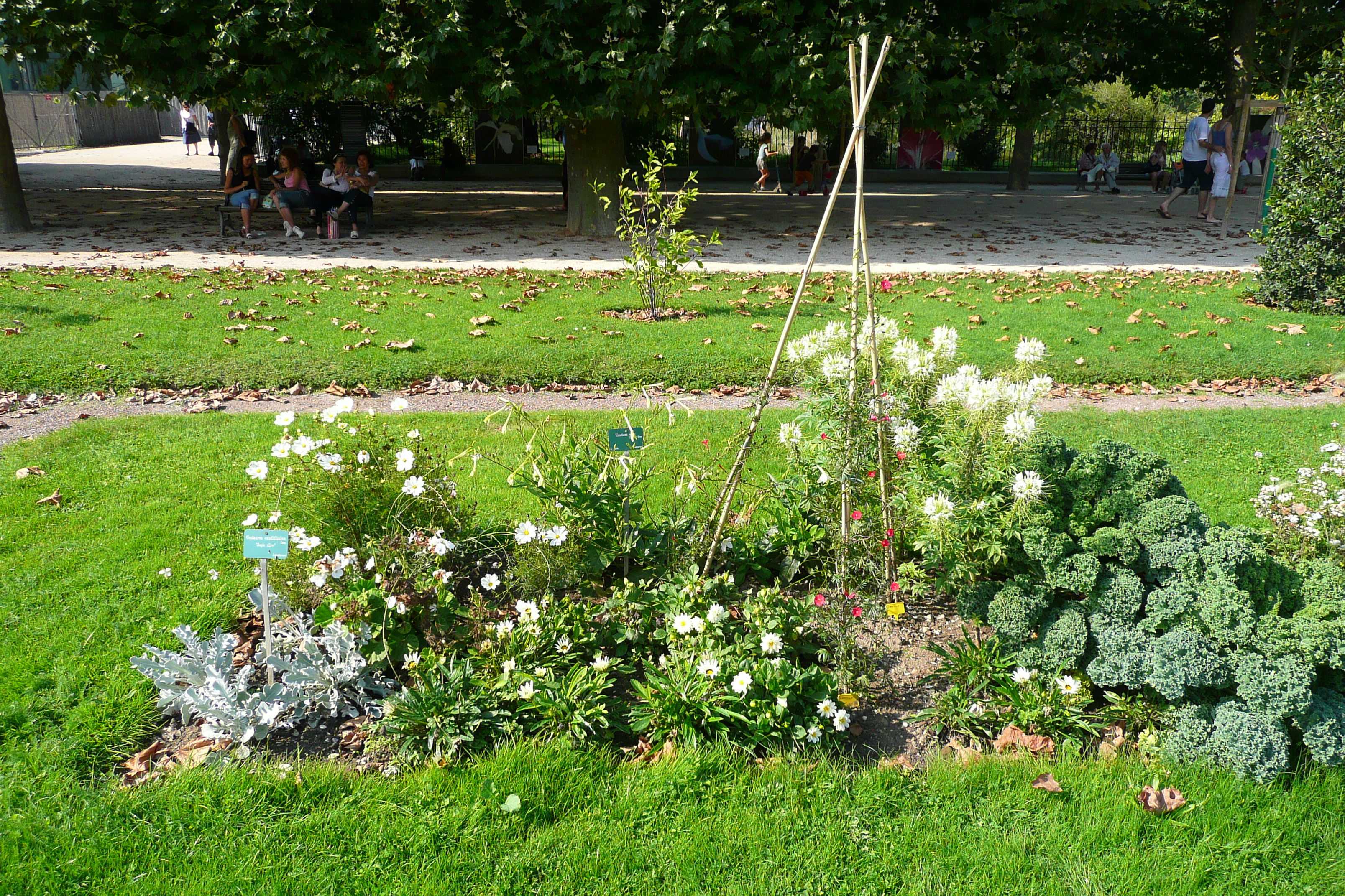 รูปถ่าย ฝรั่งเศส(France) ปารีส(Paris) สวนพันธ์ุพืช(Jardin des Plantes) 2007-08 125