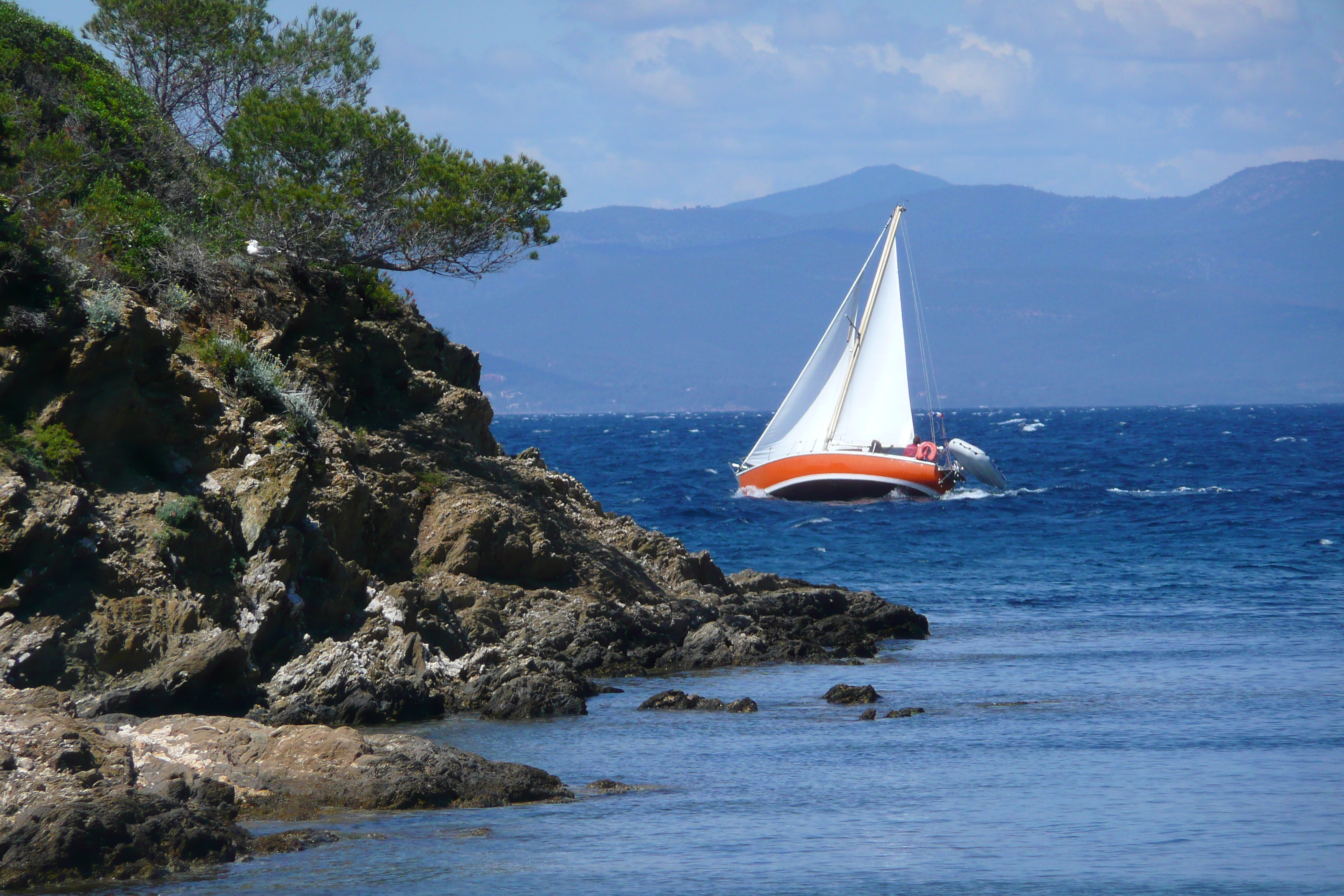 รูปถ่าย ฝรั่งเศส(France) เกาะปอร์เกอรอล(Porquerolles Island) หาดอาลีกัสตร์(Alycastre beach) 2008-05 10