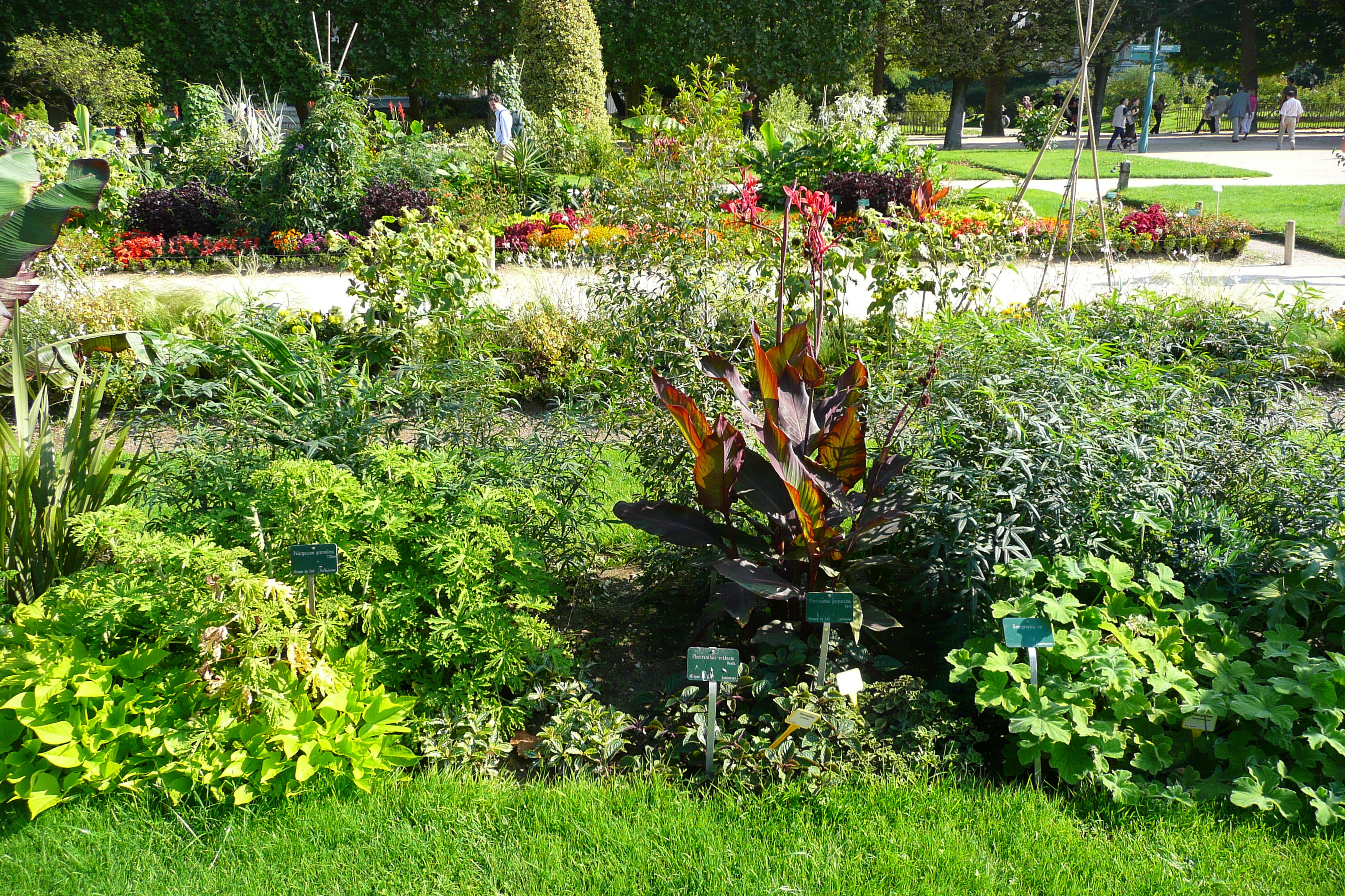รูปถ่าย ฝรั่งเศส(France) ปารีส(Paris) สวนพันธ์ุพืช(Jardin des Plantes) 2007-08 156