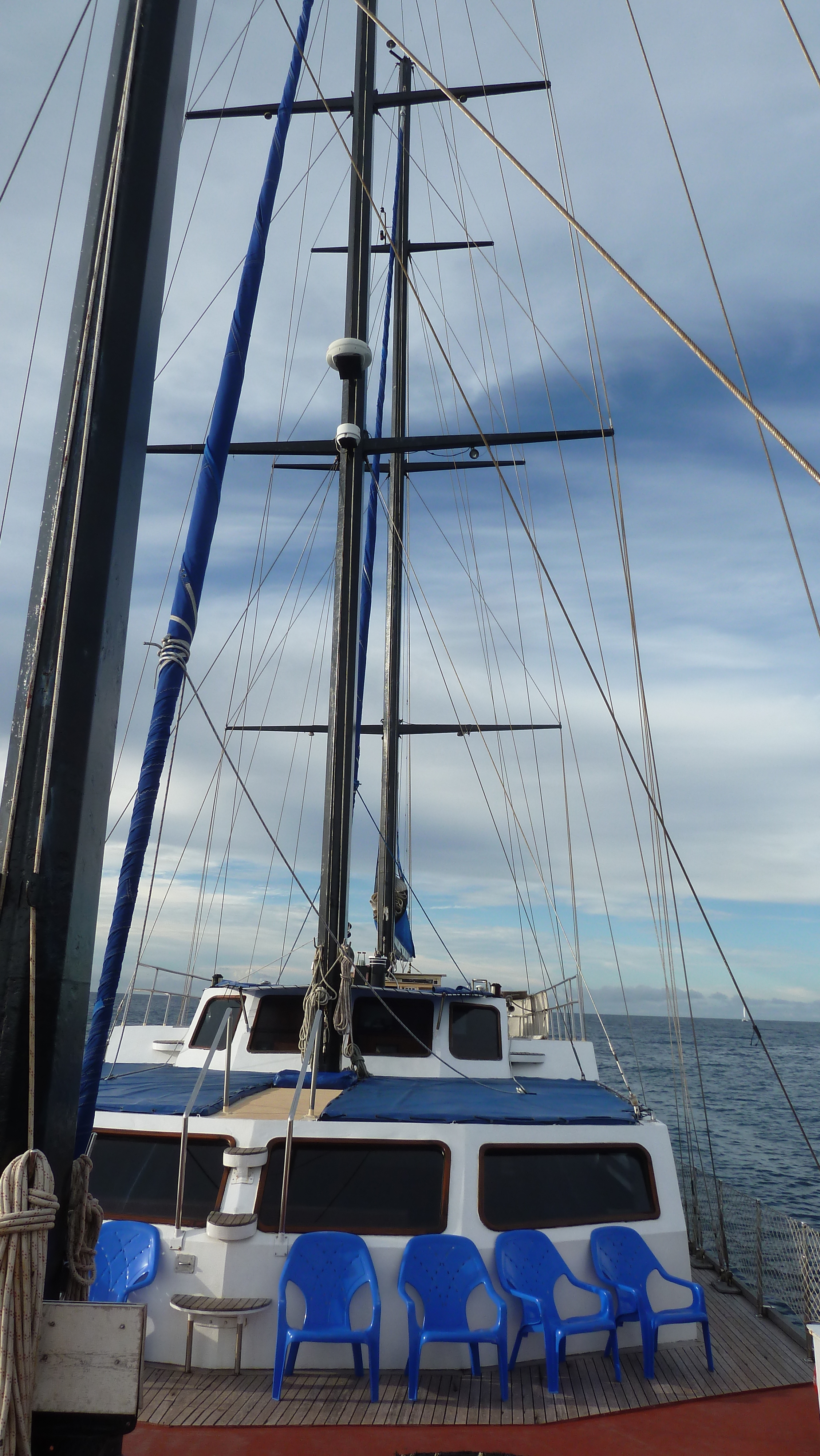 รูปถ่าย เซเชลส์(Seychelles) ซีสตาร์(Sea Star) 2011-10 70