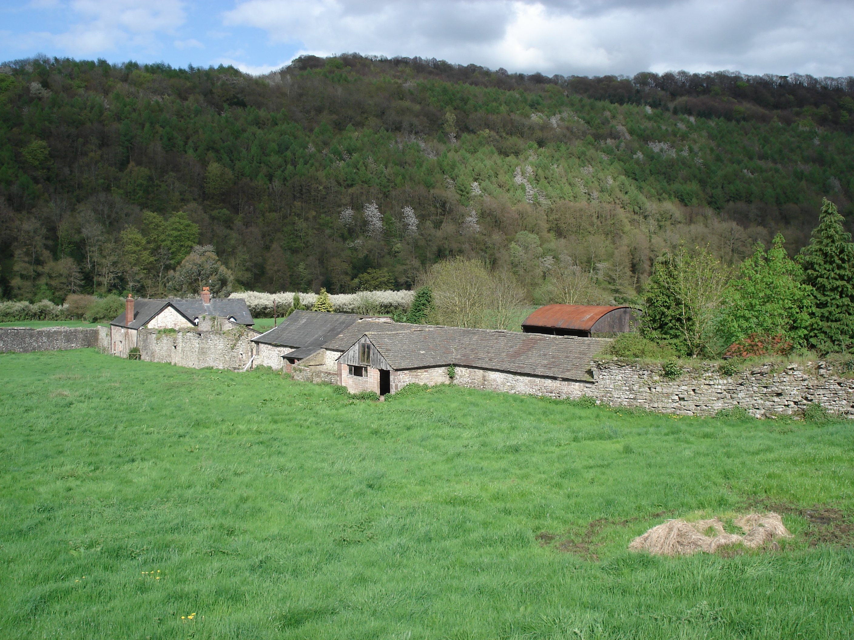 รูปถ่าย อังกฤษ(United Kingdom) ทินเทิร์น(Tintern) 2006-05 24