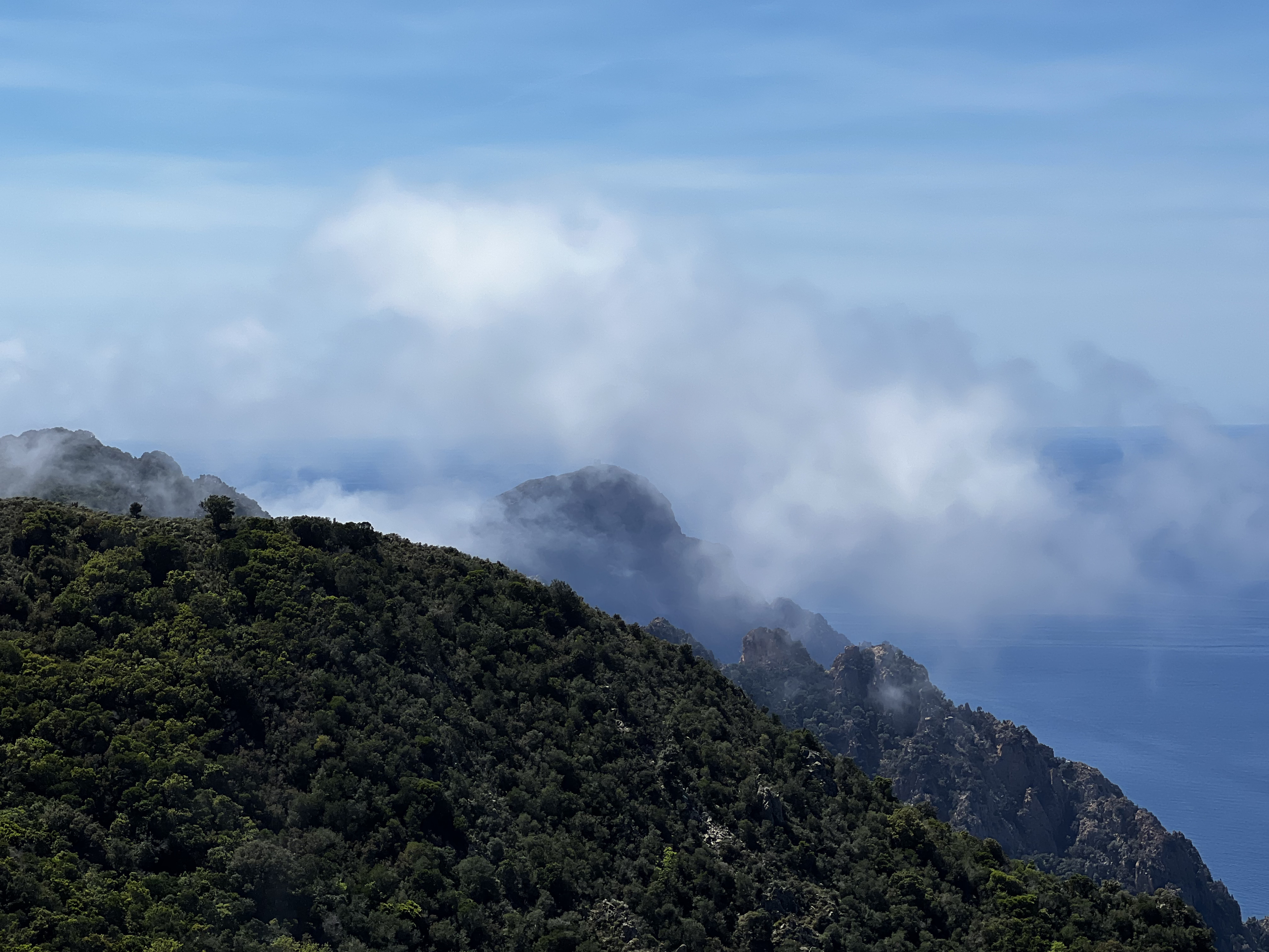 รูปถ่าย ฝรั่งเศส(France) คอร์สิคา(Corsica) แหลมกาโปรอสโซ(Capo Rosso) 2023-05 23
