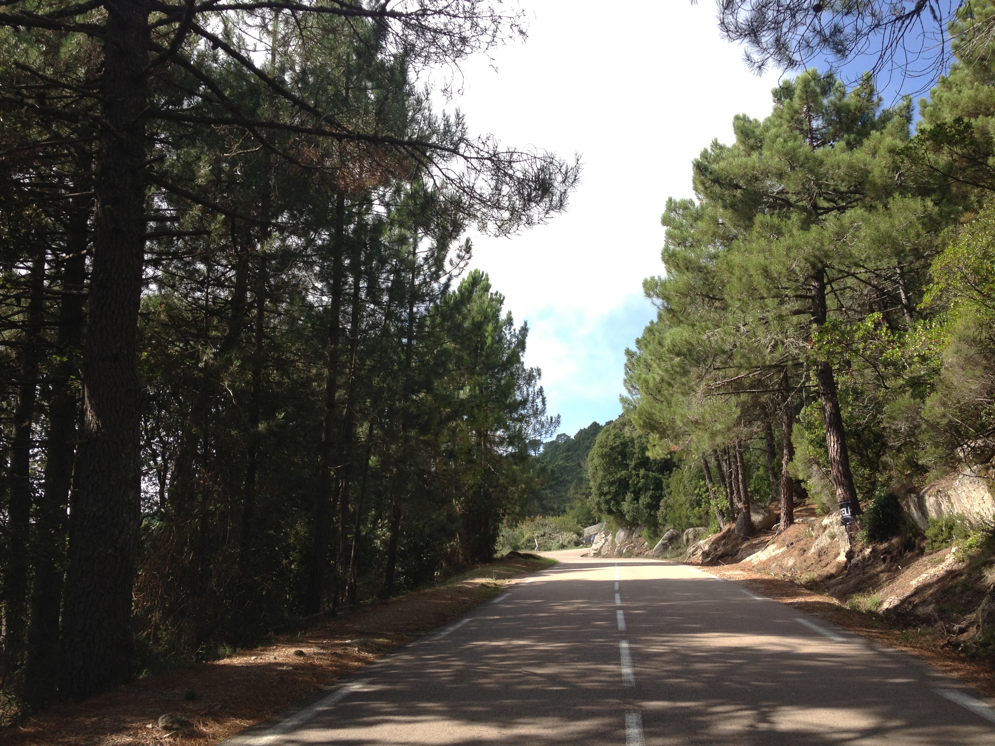 รูปถ่าย ฝรั่งเศส(France) คอร์สิคา(Corsica) ป่าลอสเปดาเล(L'ospedale Forest) 2012-09 66