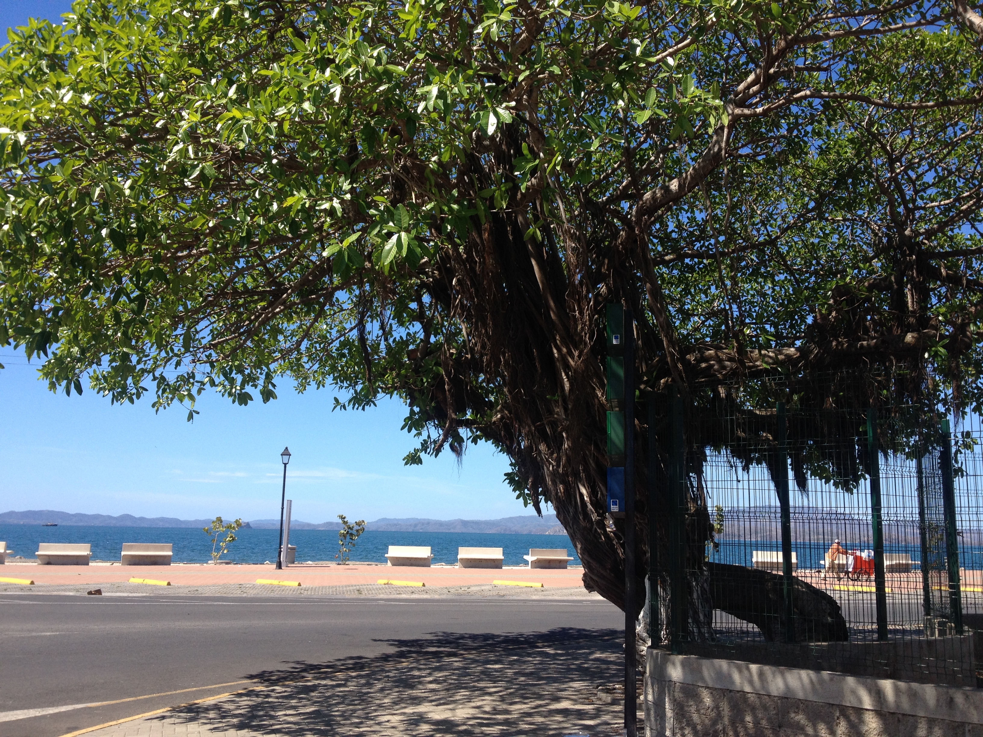 รูปถ่าย คอสตาริกา(Costa Rica) ปุนตาเรนัส(Puntarenas) 2015-03 16
