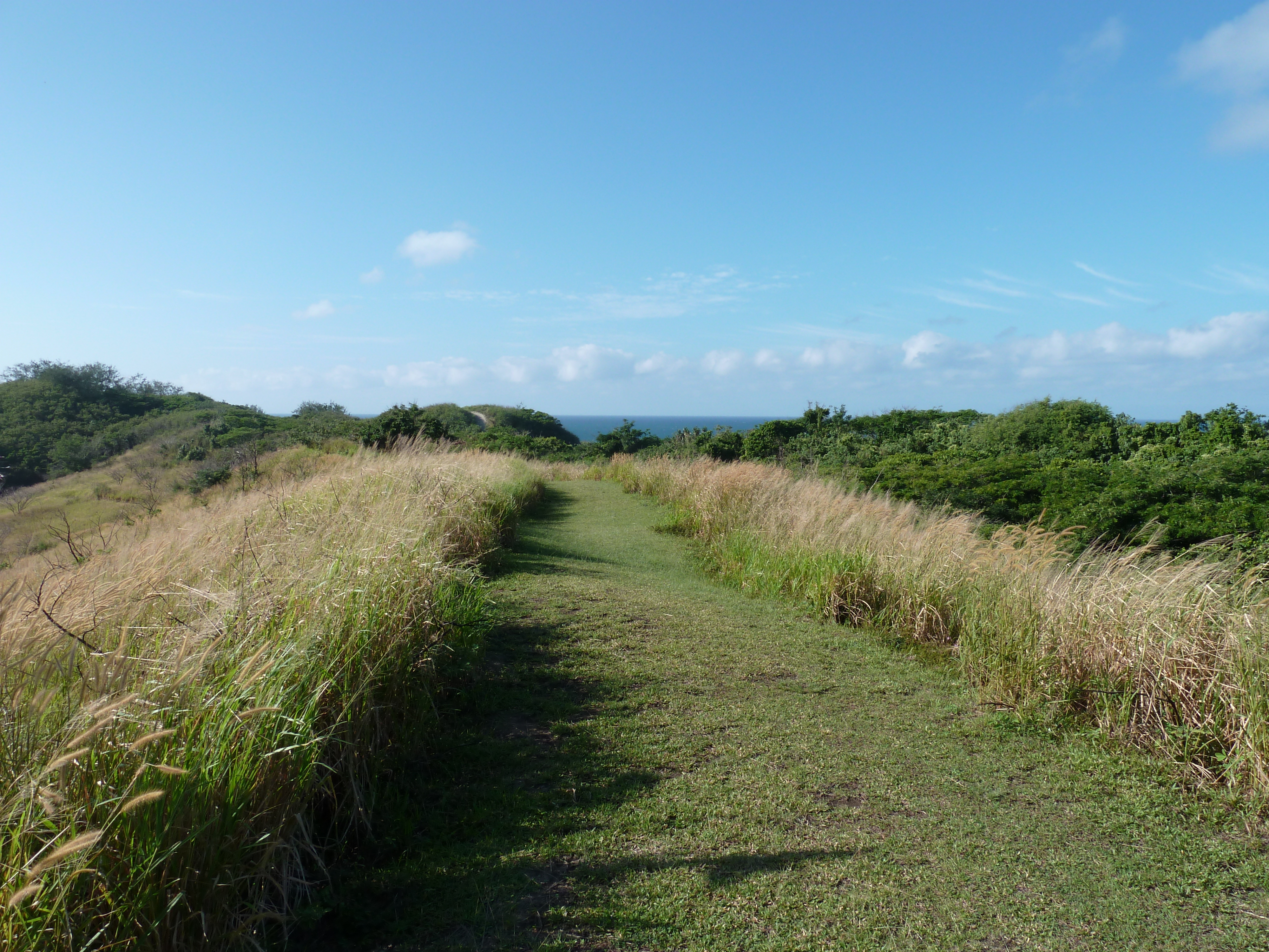 รูปถ่าย ฟิจิ(Fiji) อุทยานแห่งชาติเนินทรายซิงกาโตกา(Sigatoka sand dunes national park) 2010-05 32