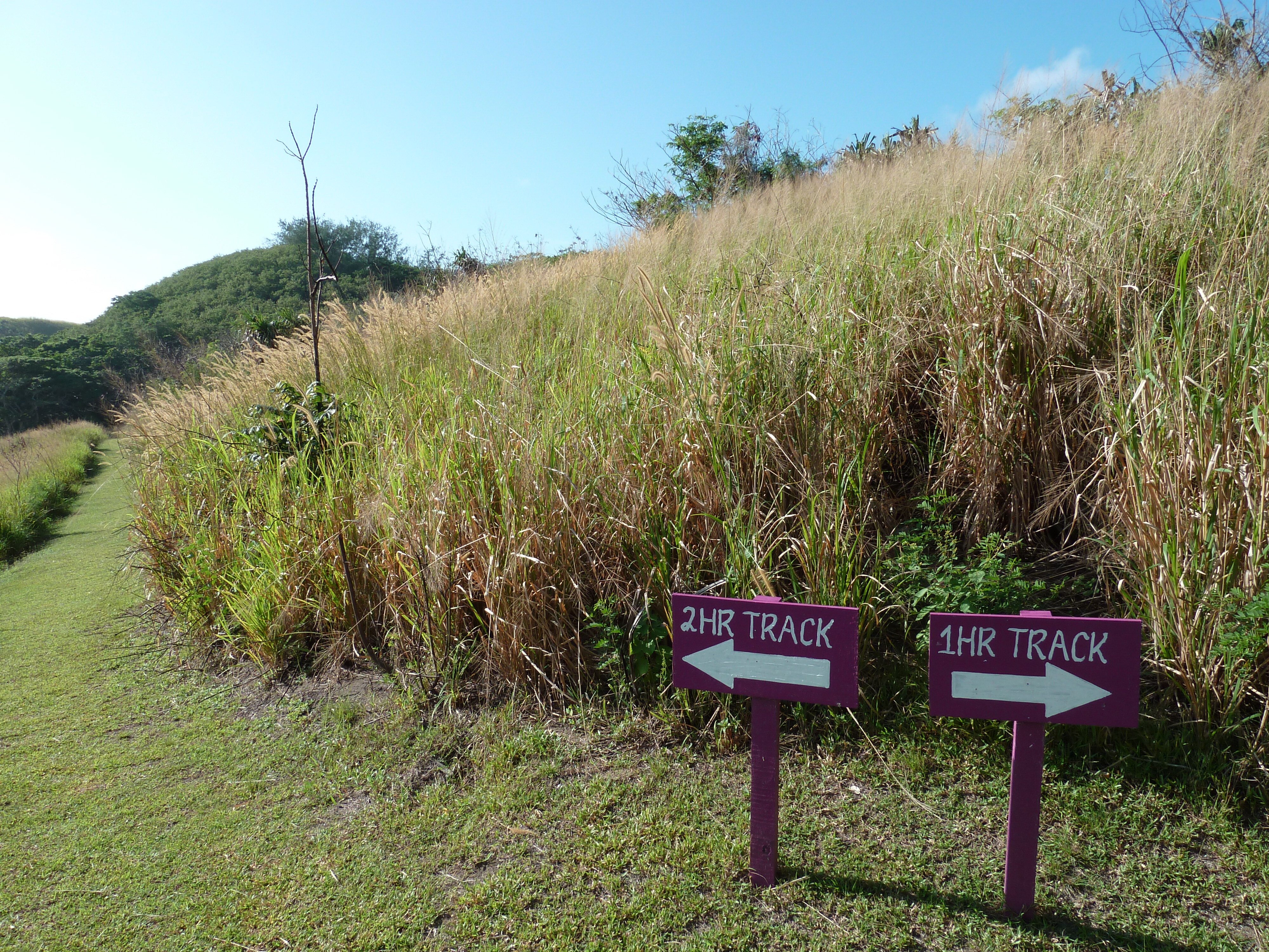 รูปถ่าย ฟิจิ(Fiji) อุทยานแห่งชาติเนินทรายซิงกาโตกา(Sigatoka sand dunes national park) 2010-05 27