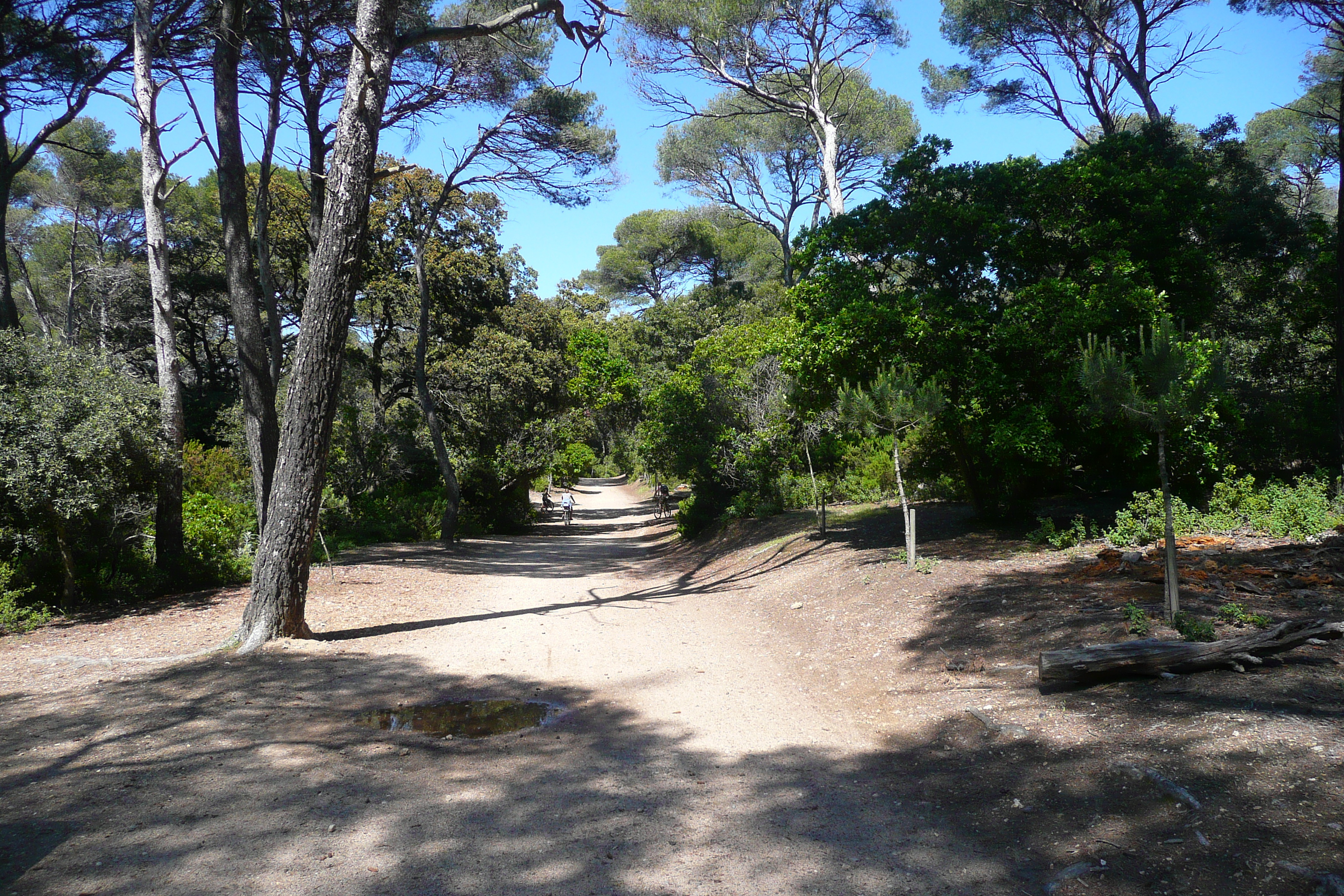 รูปถ่าย ฝรั่งเศส(France) เกาะปอร์เกอรอล(Porquerolles Island) แหลมเลอแก็ง(Pointe du Lequin) 2008-05 1