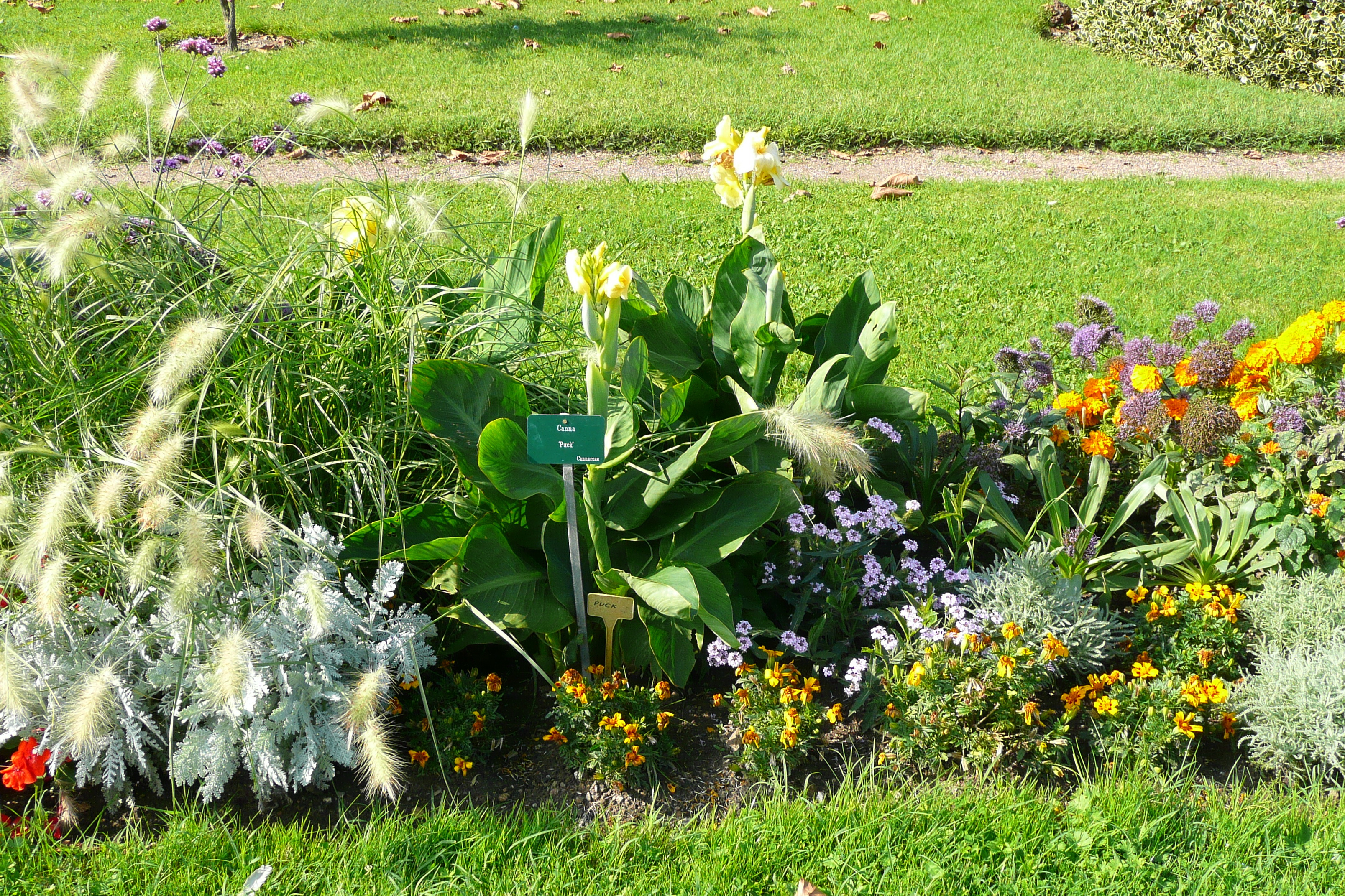 รูปถ่าย ฝรั่งเศส(France) ปารีส(Paris) สวนพันธ์ุพืช(Jardin des Plantes) 2007-08 39
