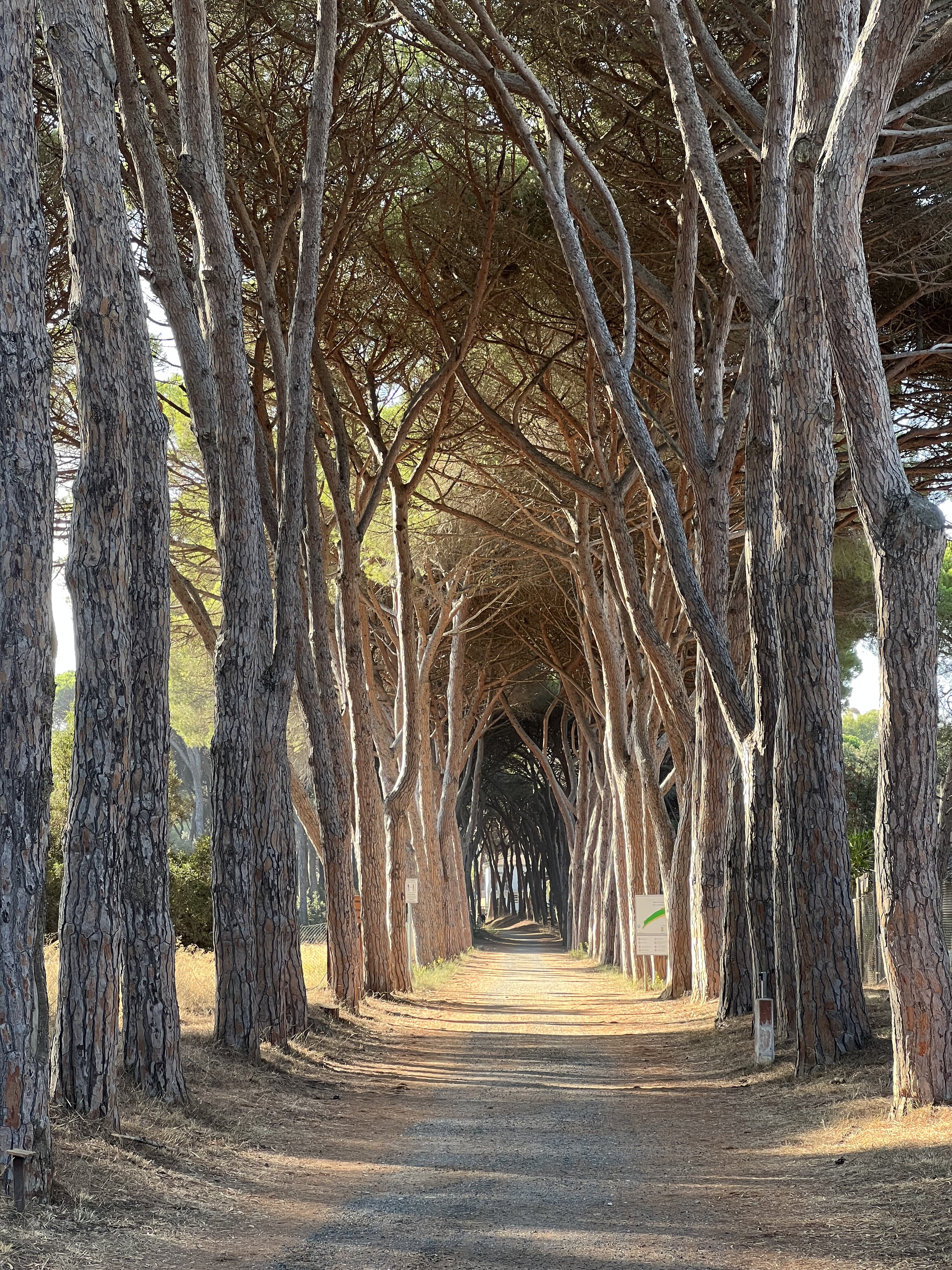 รูปถ่าย อิตาลี(Italy) ออร์เบเตลโล(Orbetello) 2021-09 0