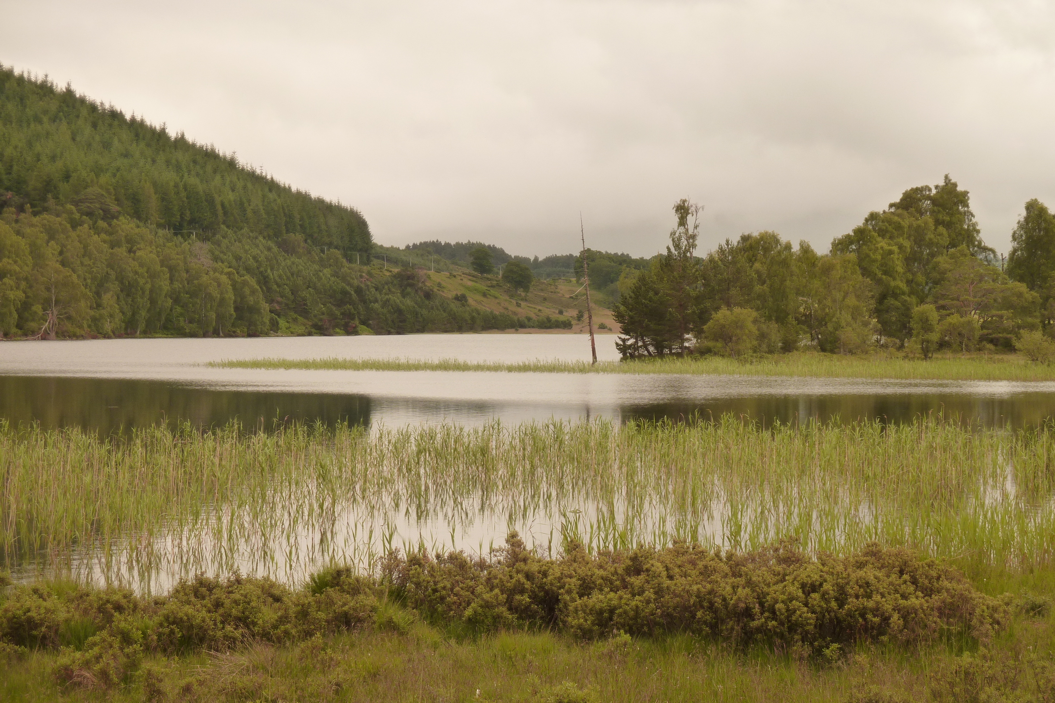 รูปถ่าย อังกฤษ(United Kingdom) สกอตแลนด์(Scotland) 2011-07 183
