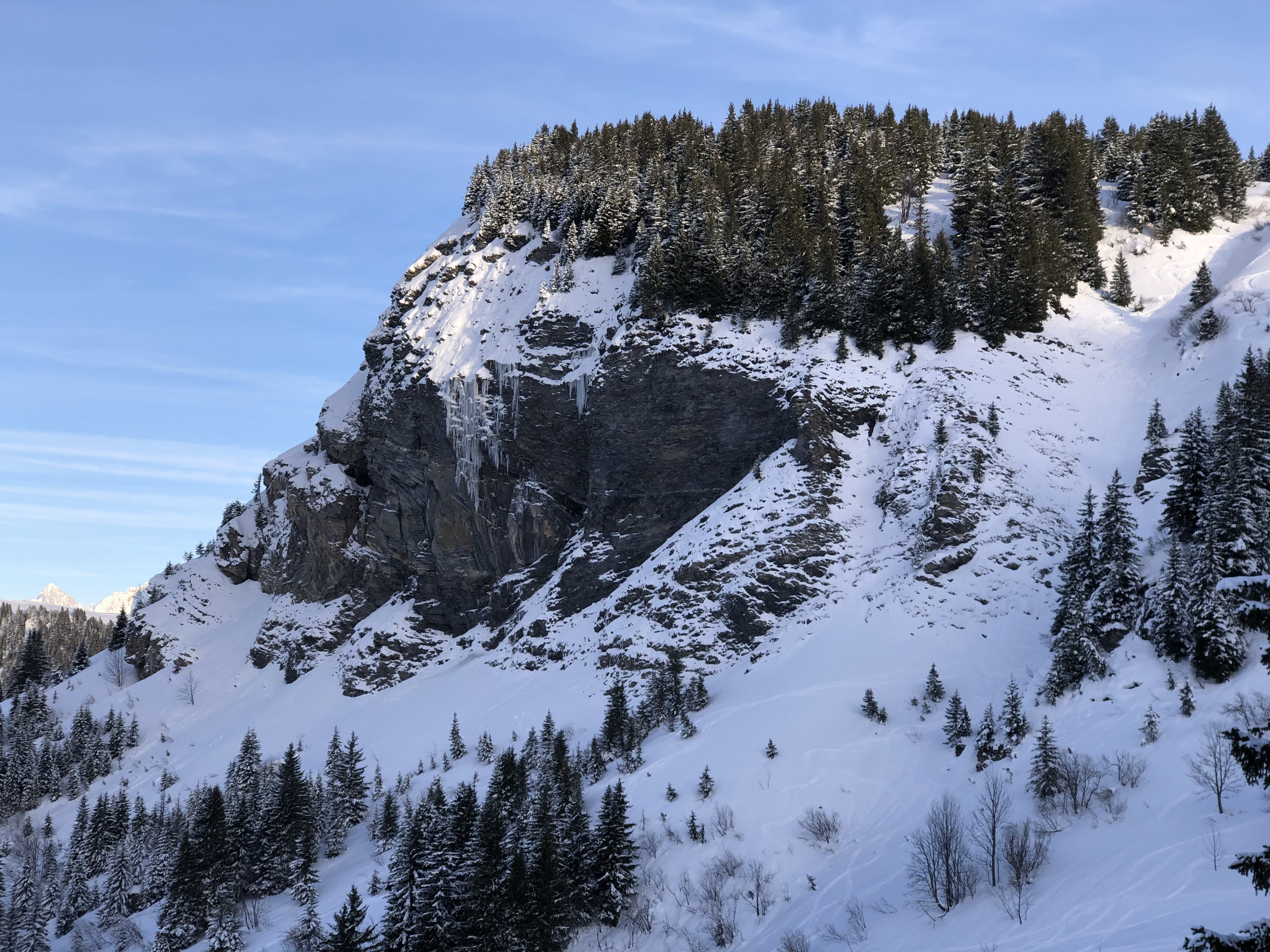 รูปถ่าย ฝรั่งเศส(France) ปรา-ซูร์-อาร์ลี(Praz sur Arly) 2019-12 149