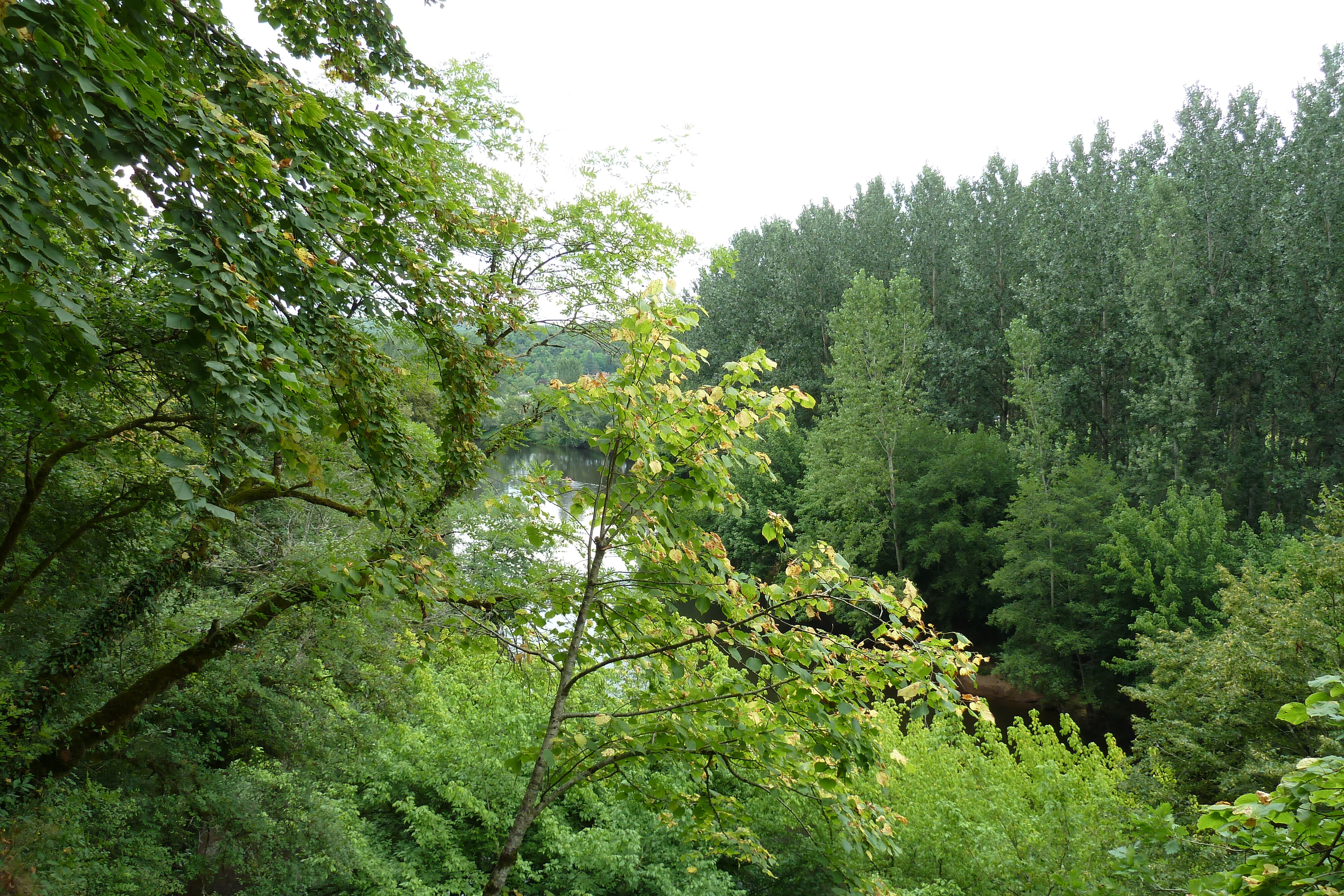 รูปถ่าย ฝรั่งเศส(France) ลาร็อกแซ็งคริสตอฟ(La Roque St Christophe) 2010-08 53
