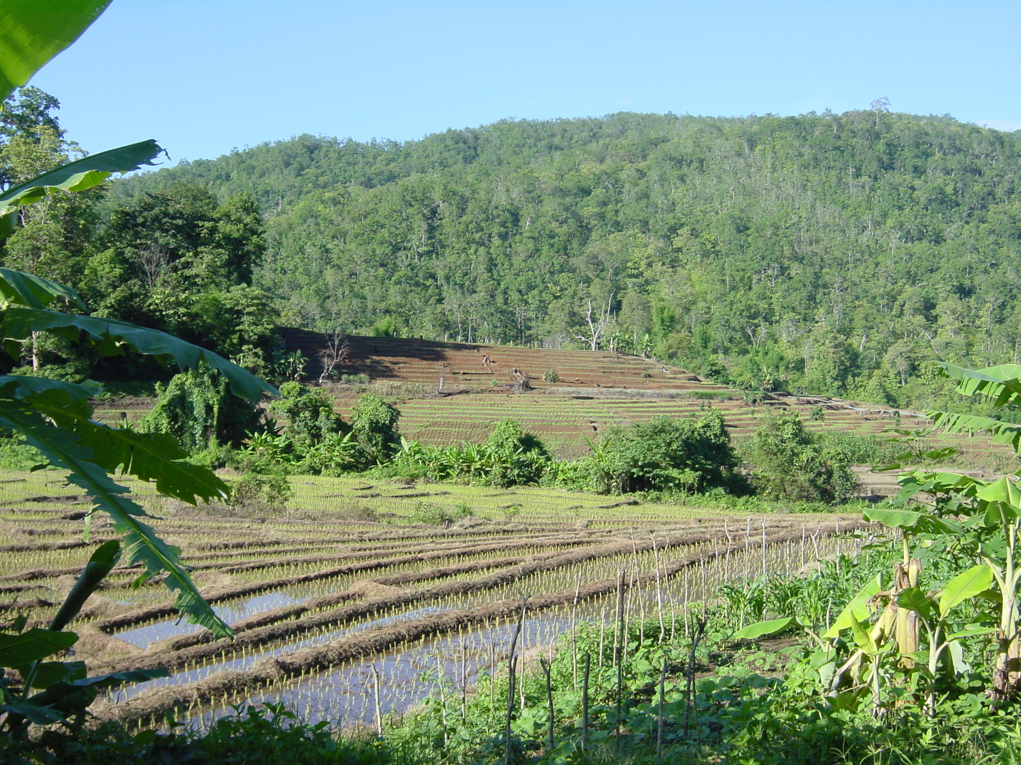 รูปถ่าย ไทย(Thailand) แม่ฮ่องสอน(Mae Hong Son) 2003-07 48
