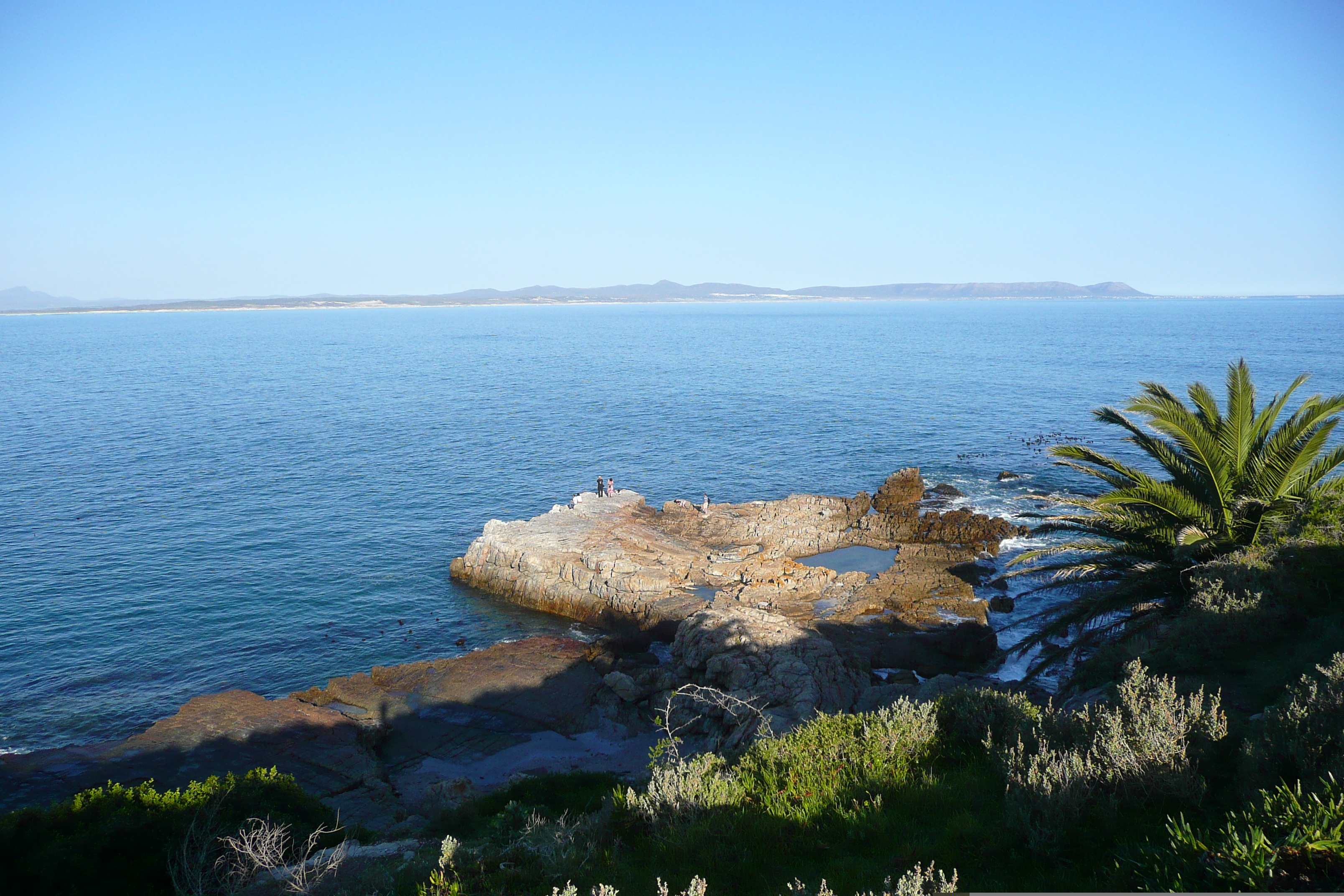 รูปถ่าย แอฟริกาใต้(South Africa) เฮอร์มานัส(Harmanus) 2008-09 130
