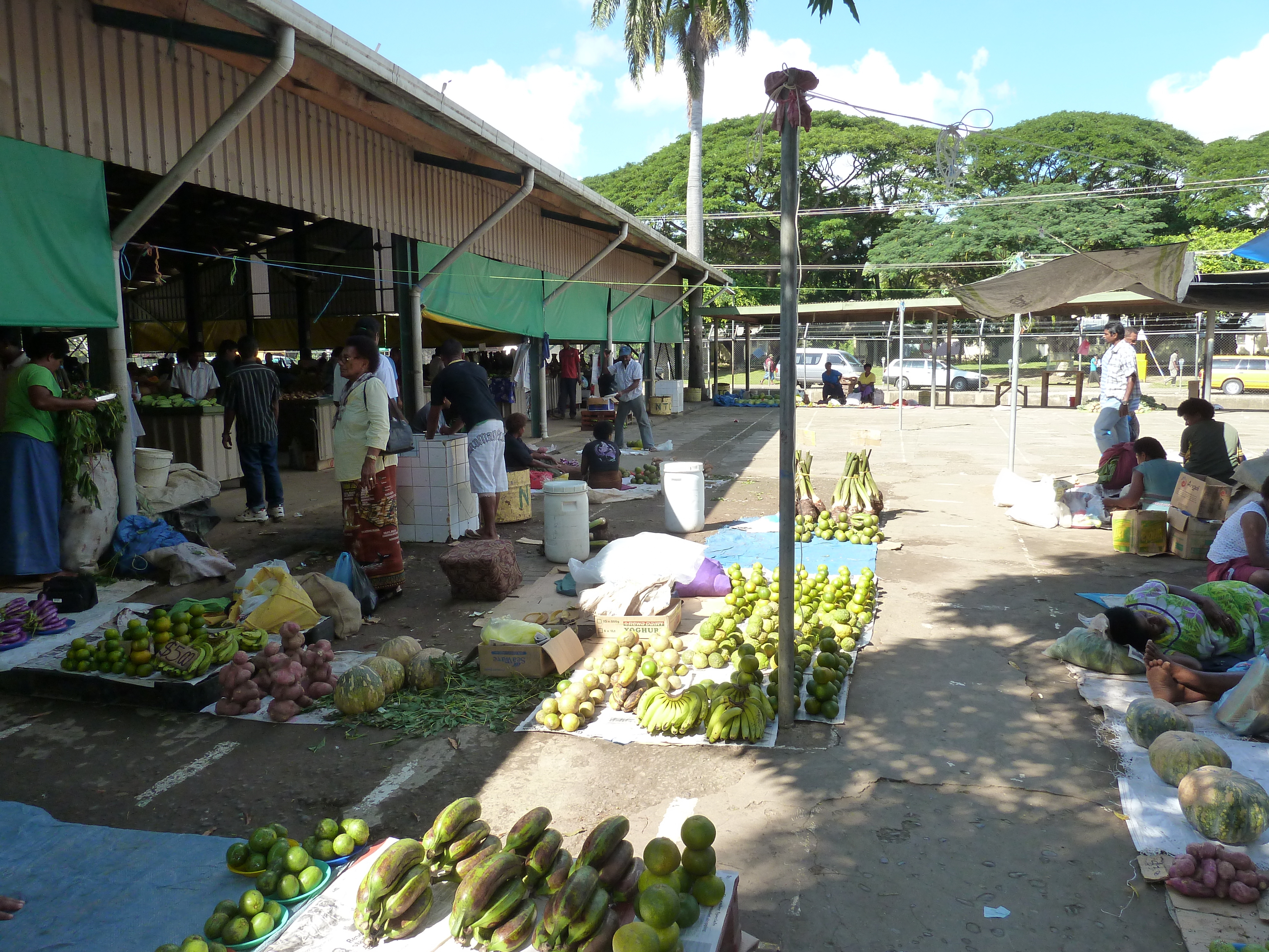 รูปถ่าย ฟิจิ(Fiji) นาดี(Nadi) 2010-05 64