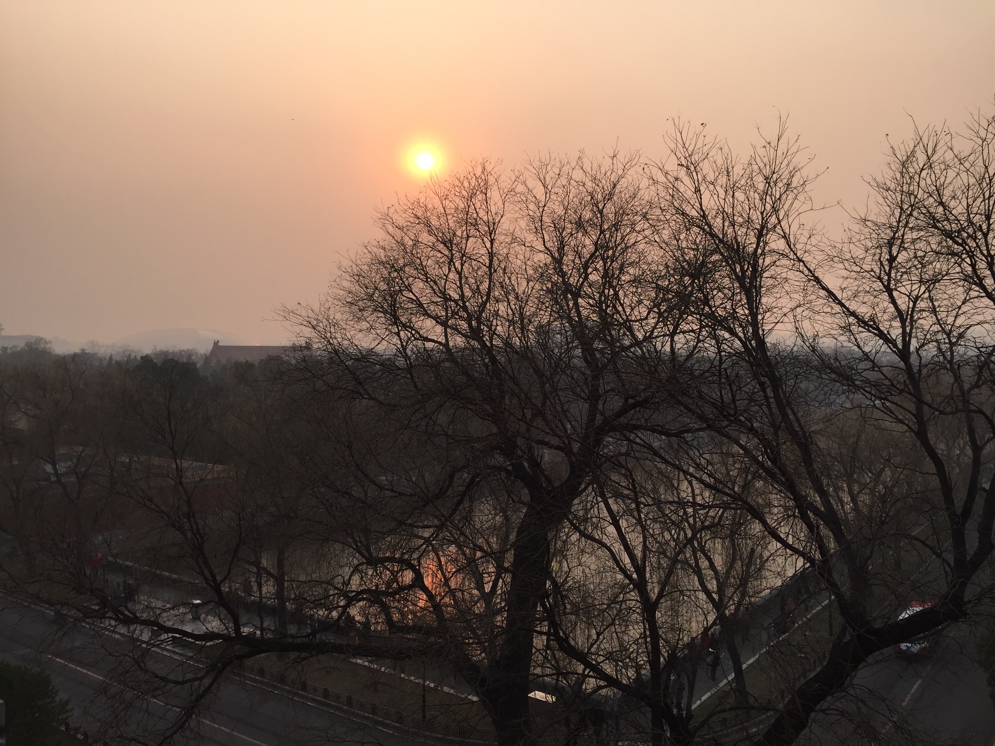 รูปถ่าย จีน(China) ปักกิ่ง(Beijing) พระราชวังต้องห้าม(Forbidden City) 2015-12 49