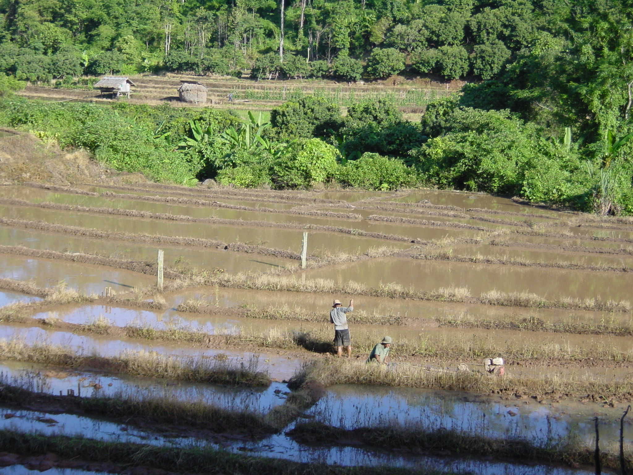 รูปถ่าย ไทย(Thailand) แม่ฮ่องสอน(Mae Hong Son) 2003-07 37