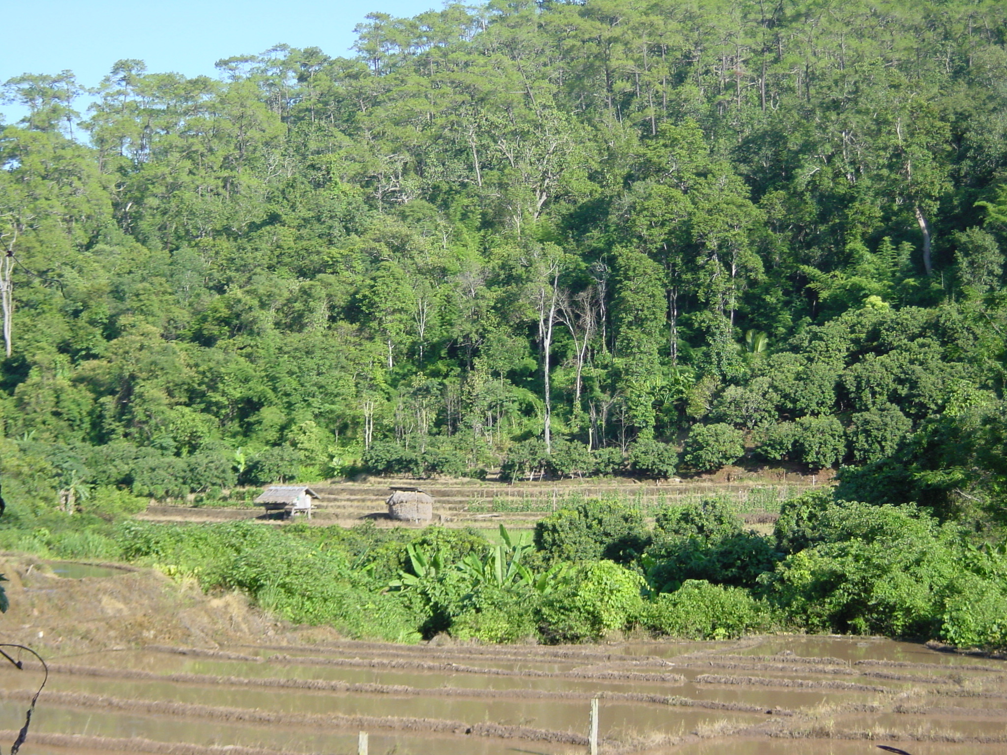 รูปถ่าย ไทย(Thailand) แม่ฮ่องสอน(Mae Hong Son) 2003-07 66