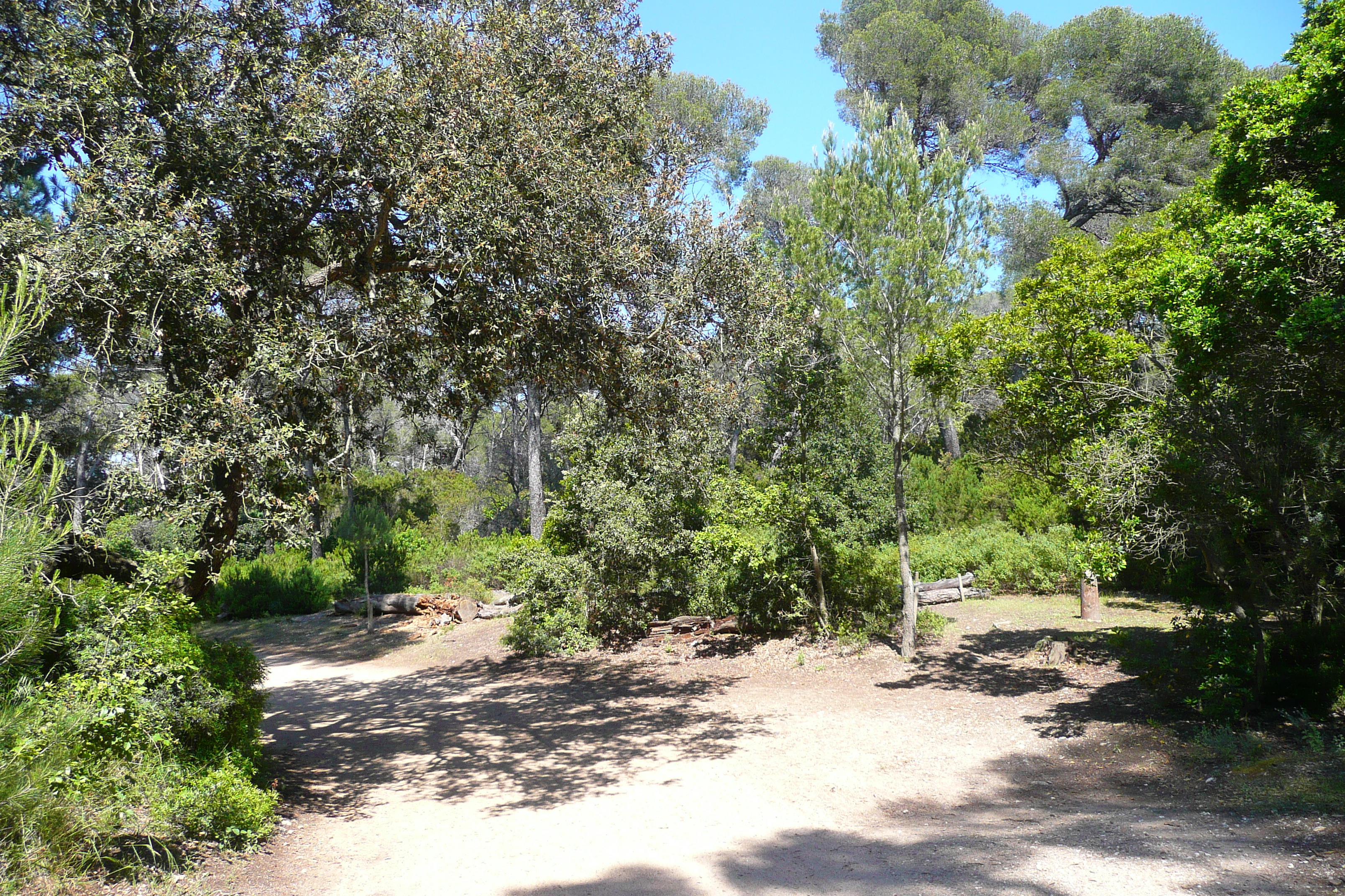 รูปถ่าย ฝรั่งเศส(France) เกาะปอร์เกอรอล(Porquerolles Island) ที่ราบกูร์ตาด(Plaine de la courtade) 2008-05 21