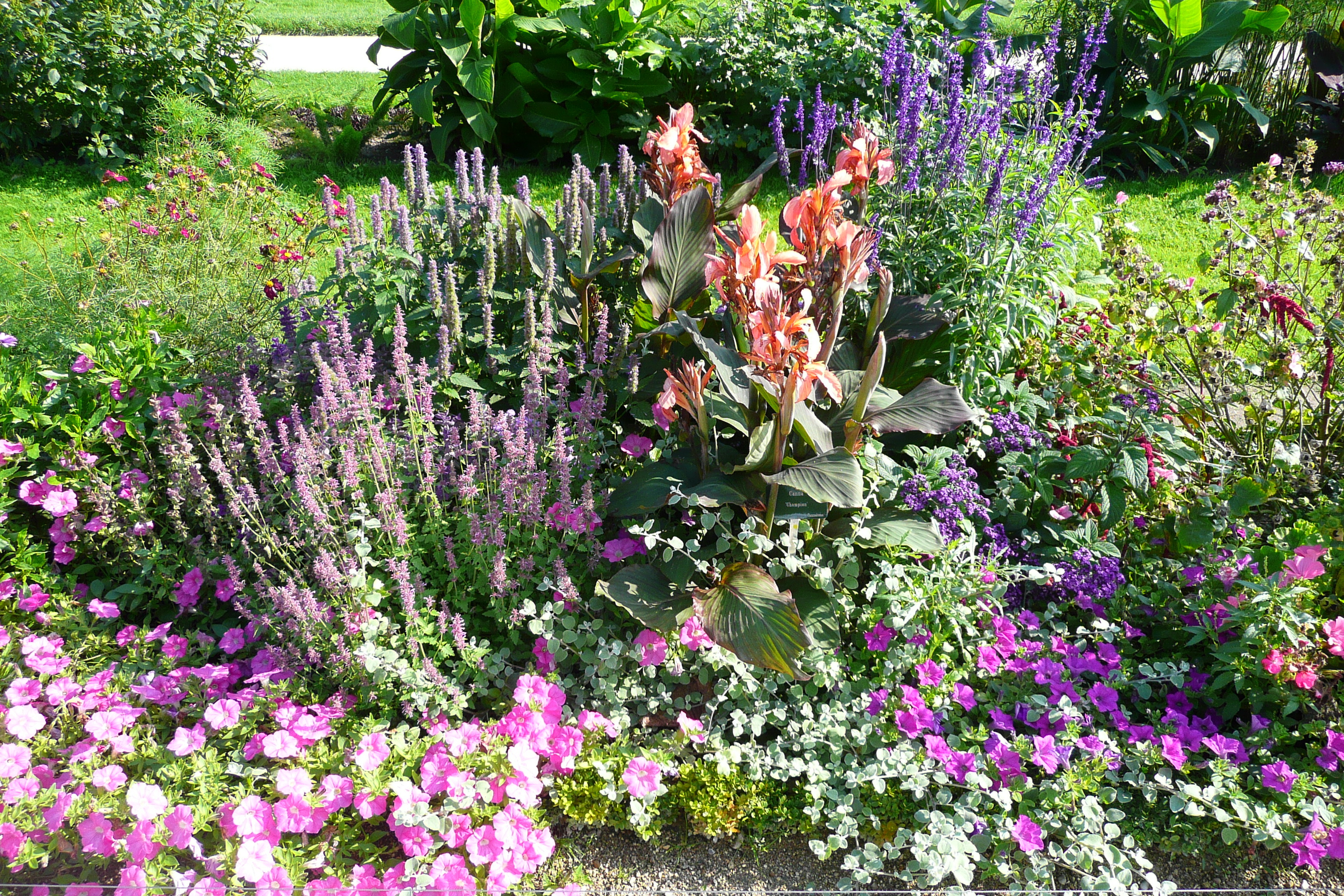 รูปถ่าย ฝรั่งเศส(France) ปารีส(Paris) สวนพันธ์ุพืช(Jardin des Plantes) 2007-08 212