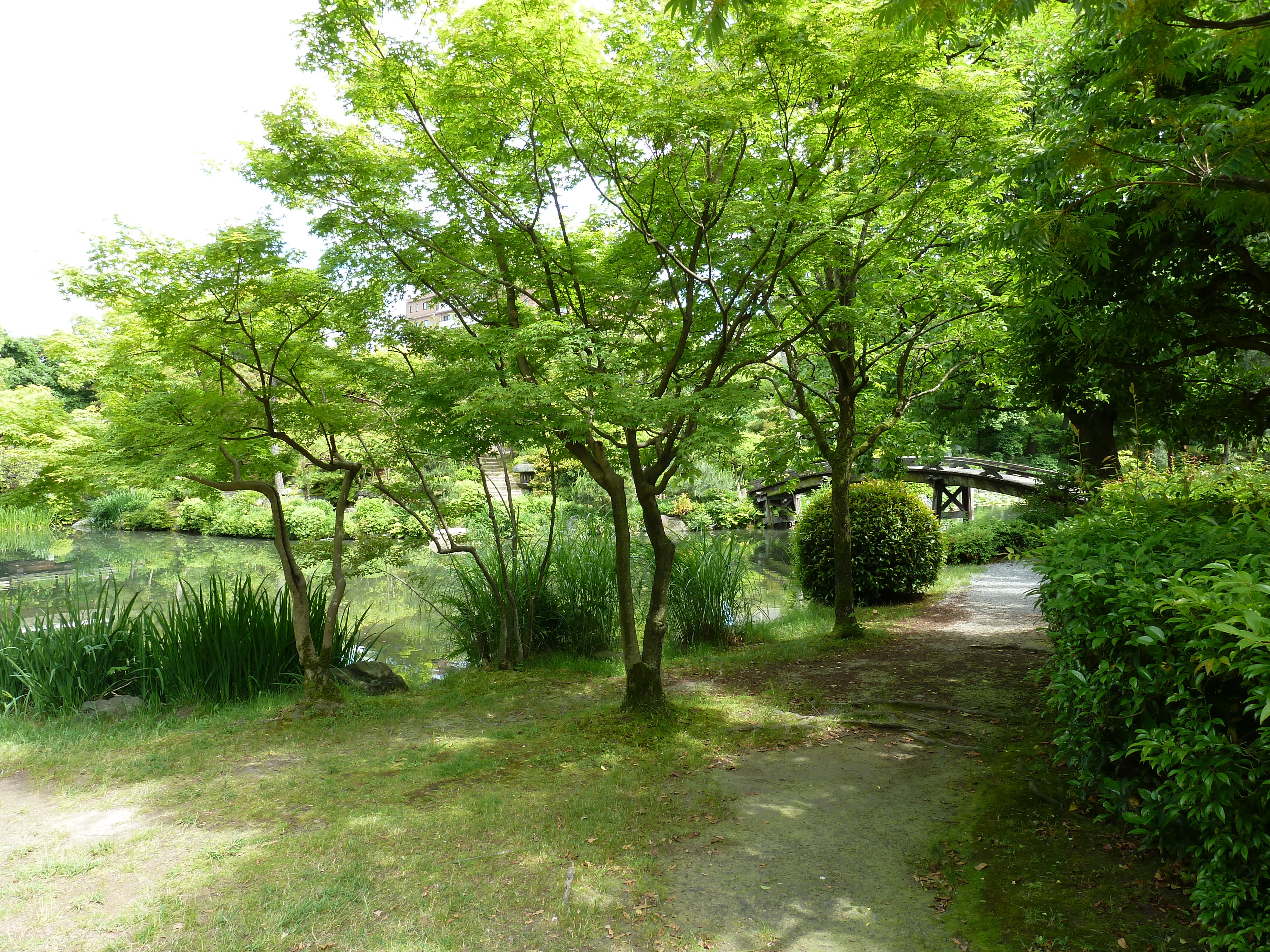 รูปถ่าย ญี่ปุ่น(Japan) เกียวโต(Kyoto) สวนโชเซเอ็ง(Shosei en Garden) 2010-06 16
