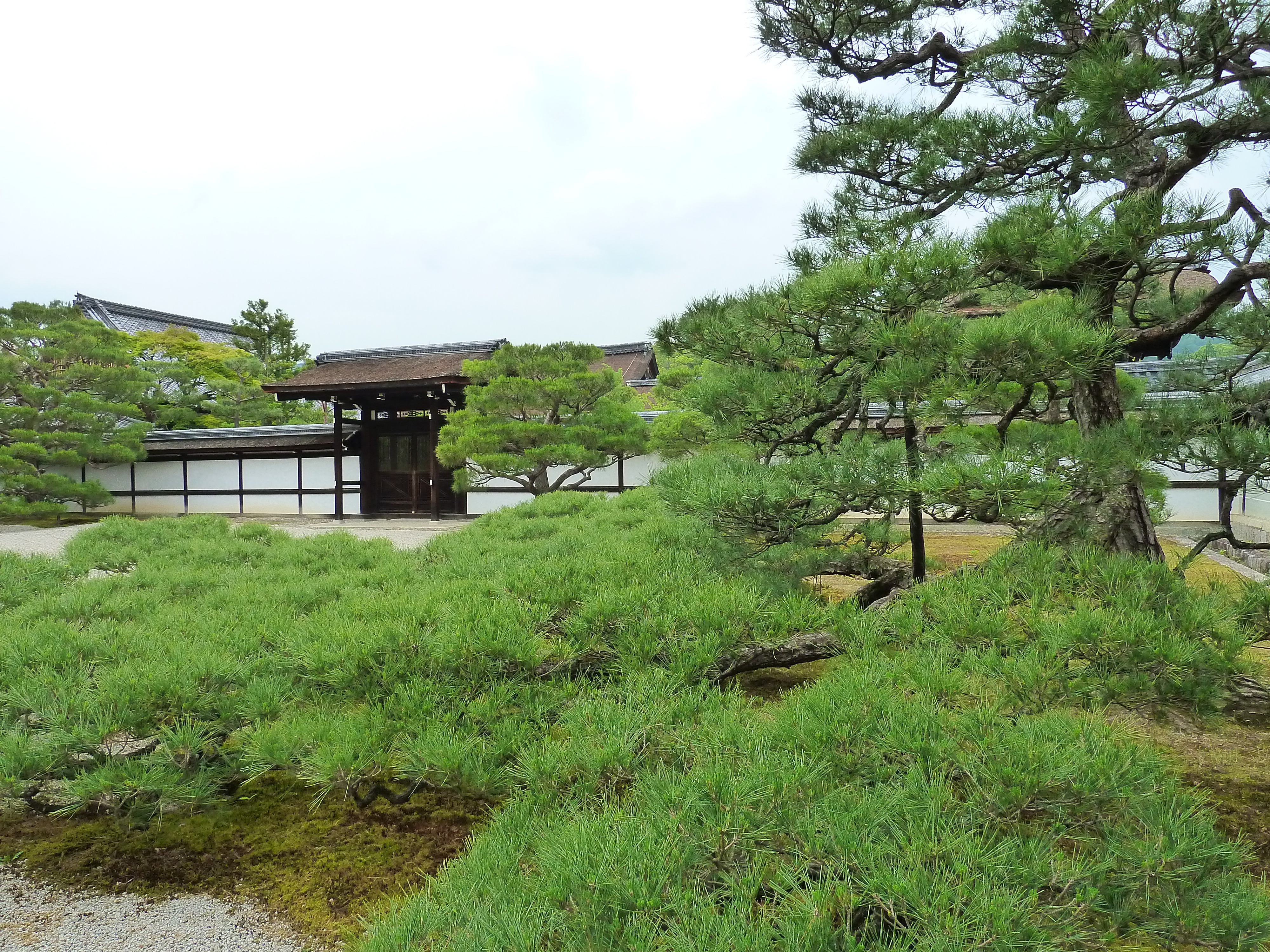 รูปถ่าย ญี่ปุ่น(Japan) เกียวโต(Kyoto) ตำหนักหลวงวัดนินนะจิ(Ninna ji imperial Residence) 2010-06 75
