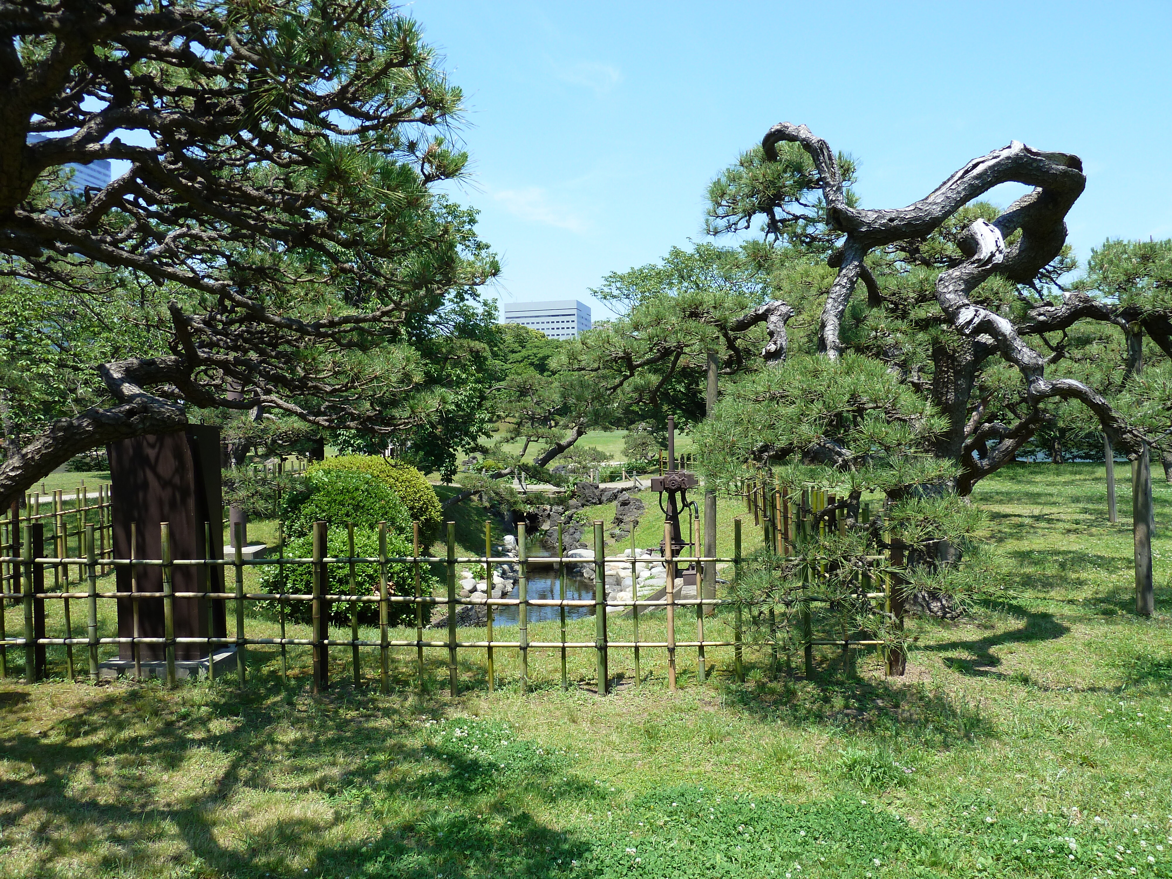 รูปถ่าย ญี่ปุ่น(Japan) โตเกียว(Tokyo) สวนฮามะริคิว(Hama rikyu Gardens) 2010-06 7