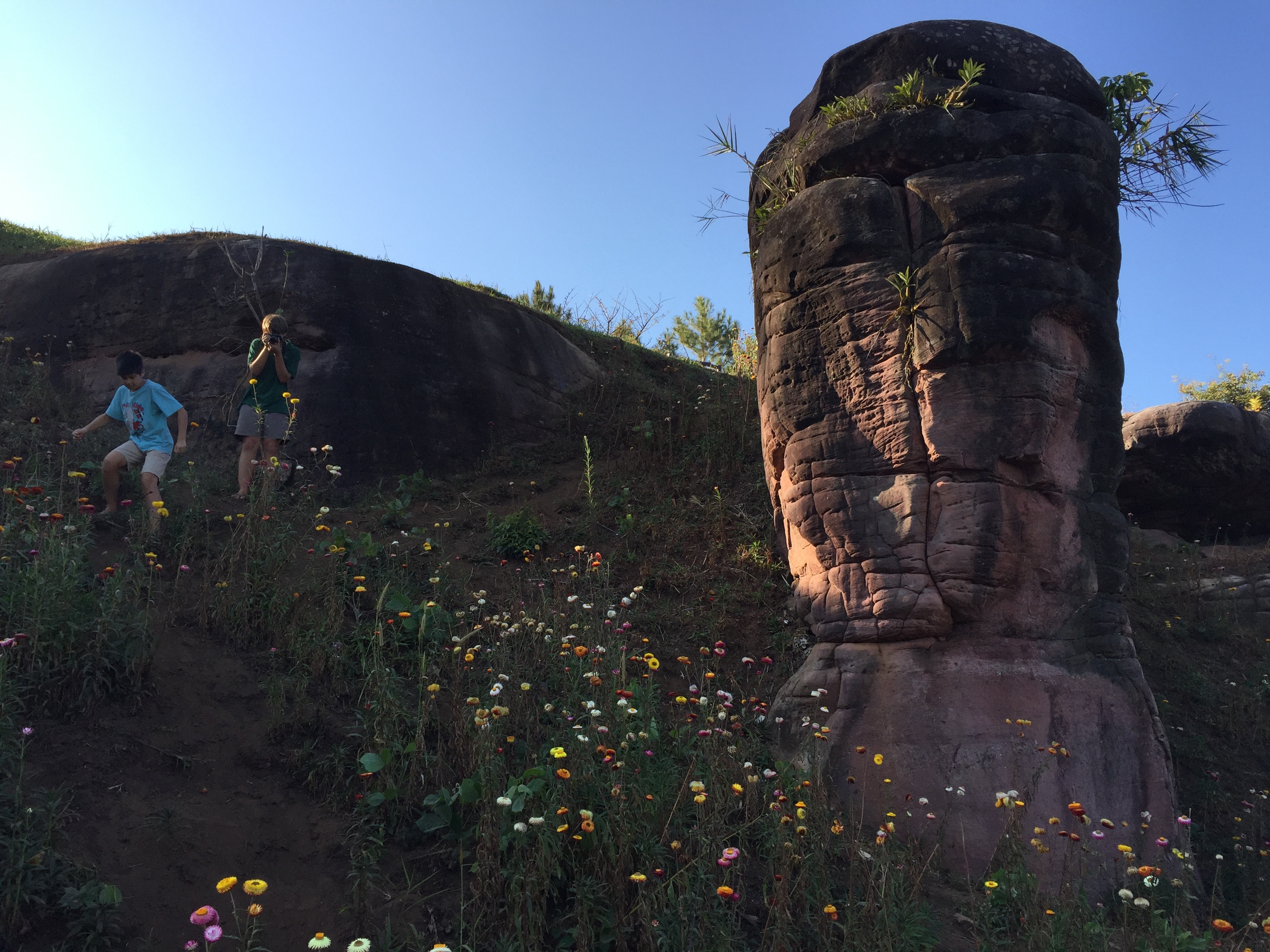 รูปถ่าย ไทย(Thailand) อุทยานแห่งชาติภูหินร่องกล้า(Phu Hin Rong Kla National Park) 2014-12 105
