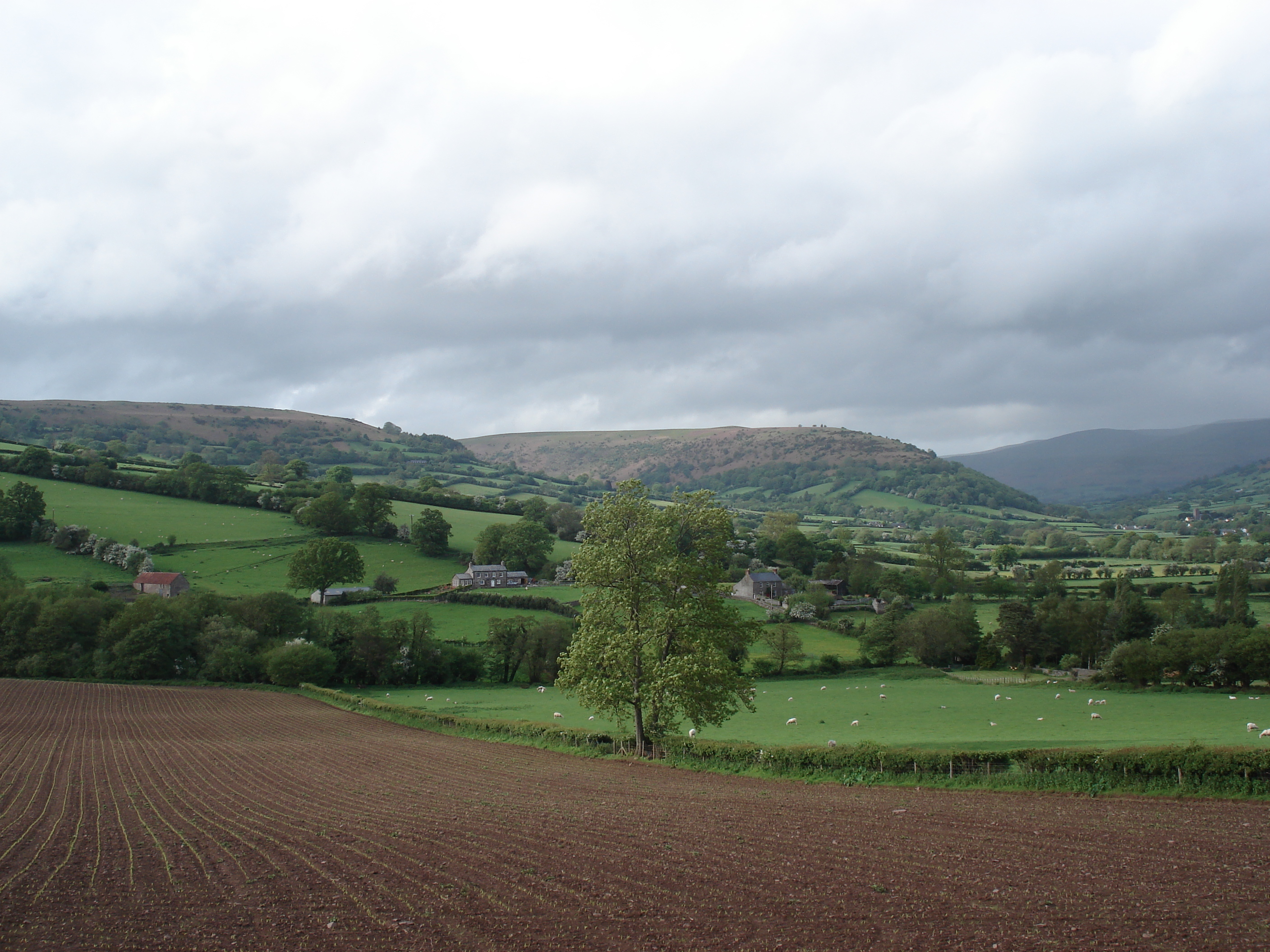 รูปถ่าย อังกฤษ(United Kingdom) อุทยานแห่งชาติเบรคอนบีคอนส์(Brecon Beacons National Park) 2006-05 41