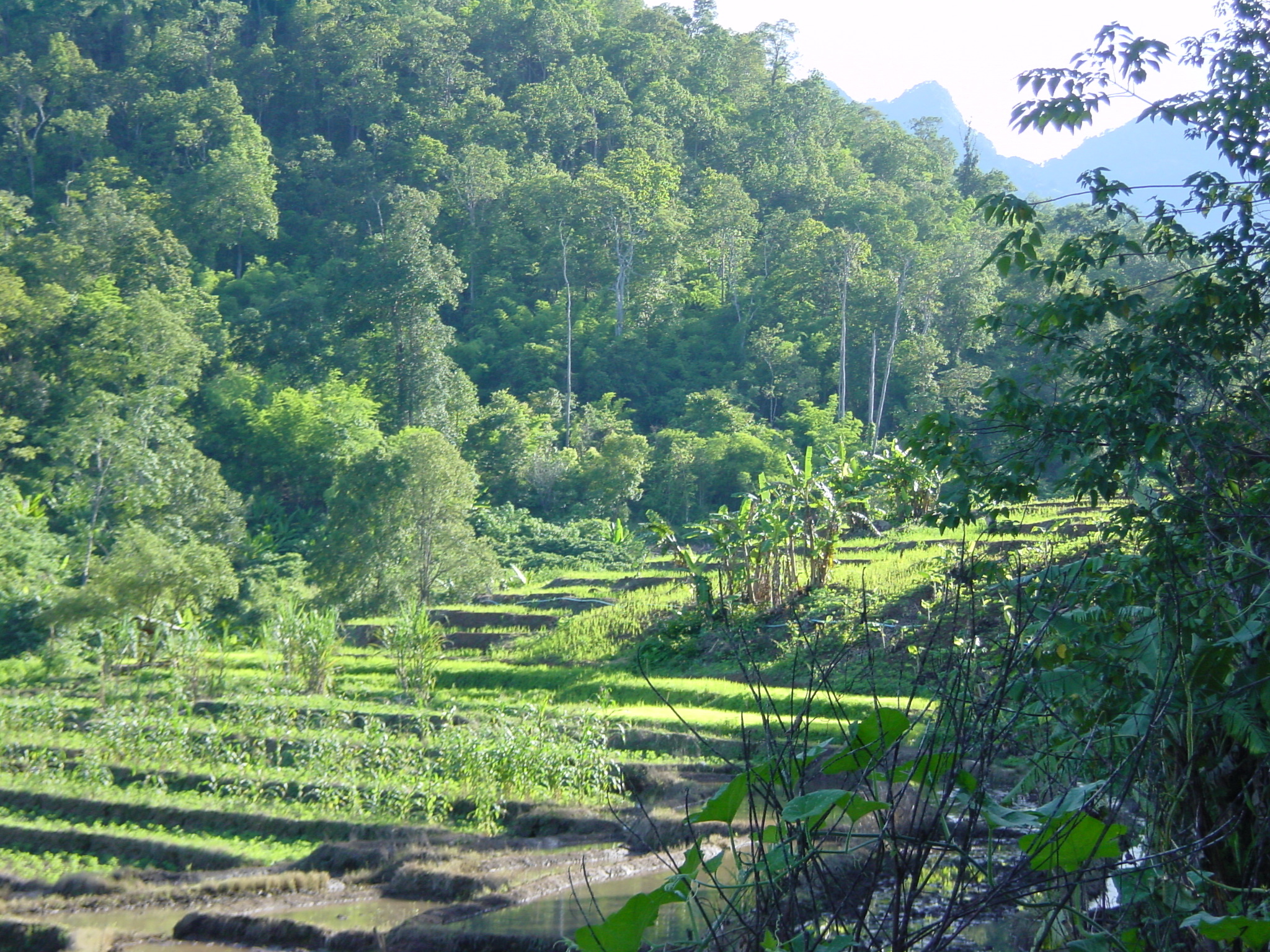 รูปถ่าย ไทย(Thailand) แม่ฮ่องสอน(Mae Hong Son) 2003-07 47
