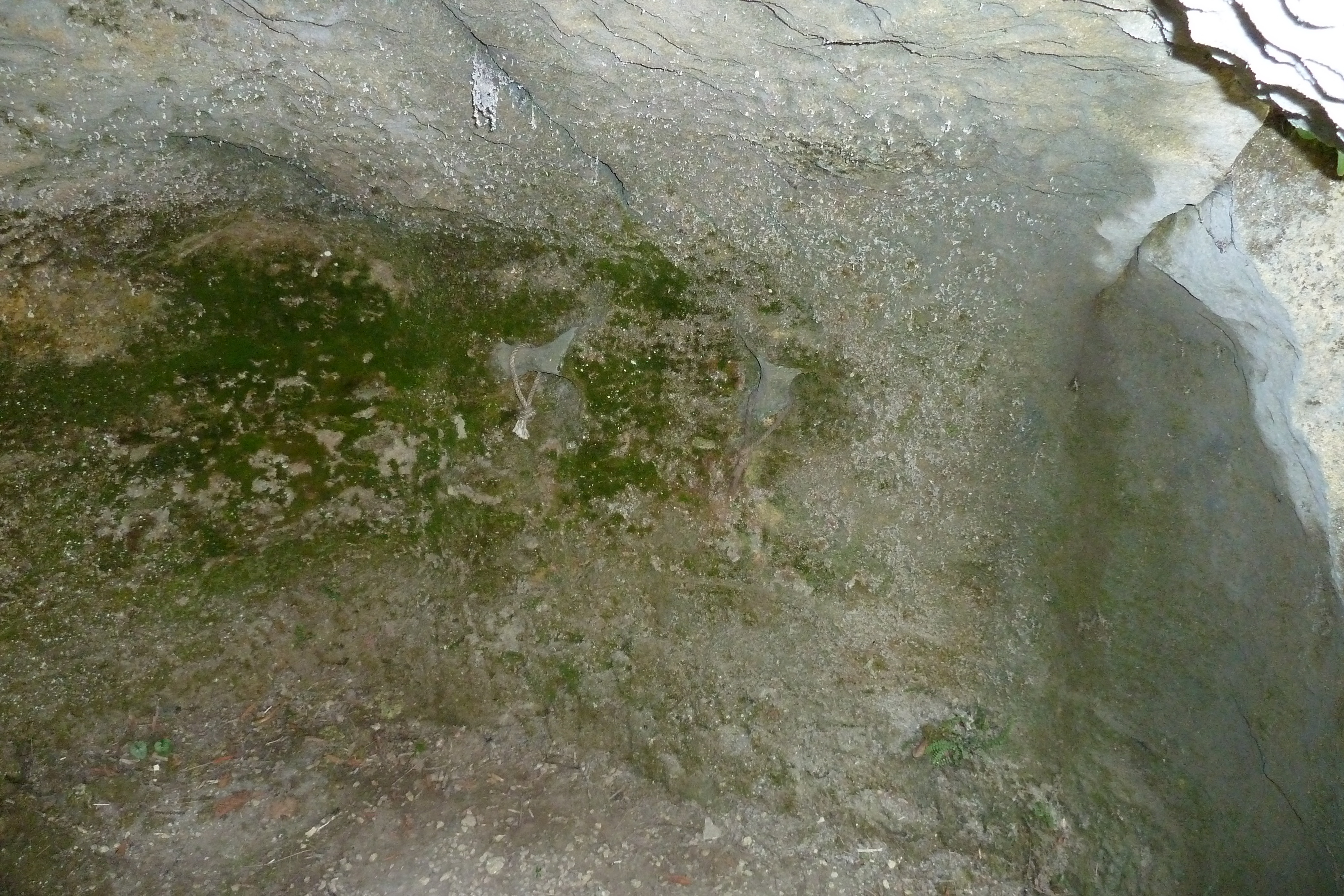 รูปถ่าย ฝรั่งเศส(France) ลาร็อกแซ็งคริสตอฟ(La Roque St Christophe) 2010-08 60