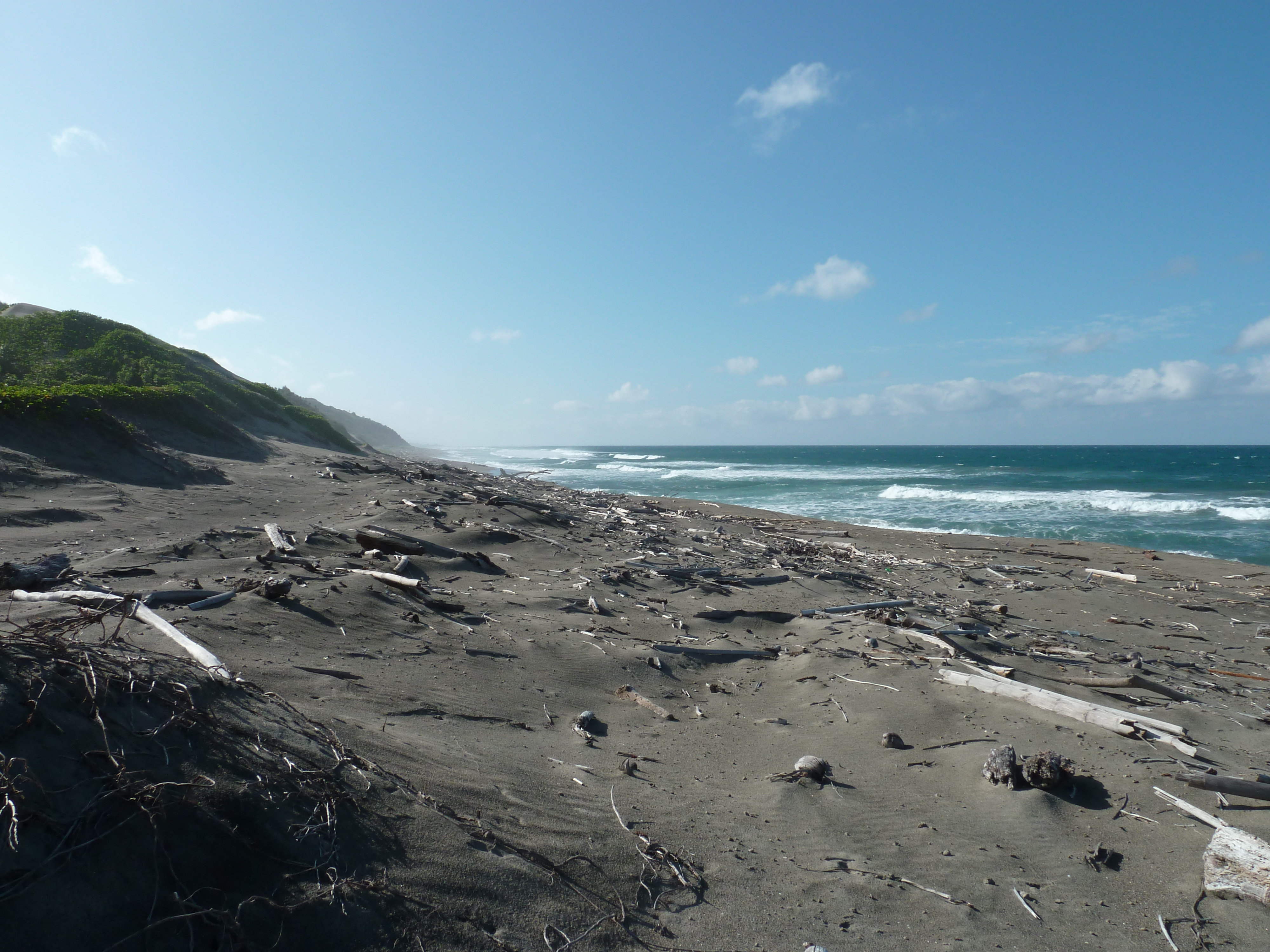 รูปถ่าย ฟิจิ(Fiji) 2010-05 59