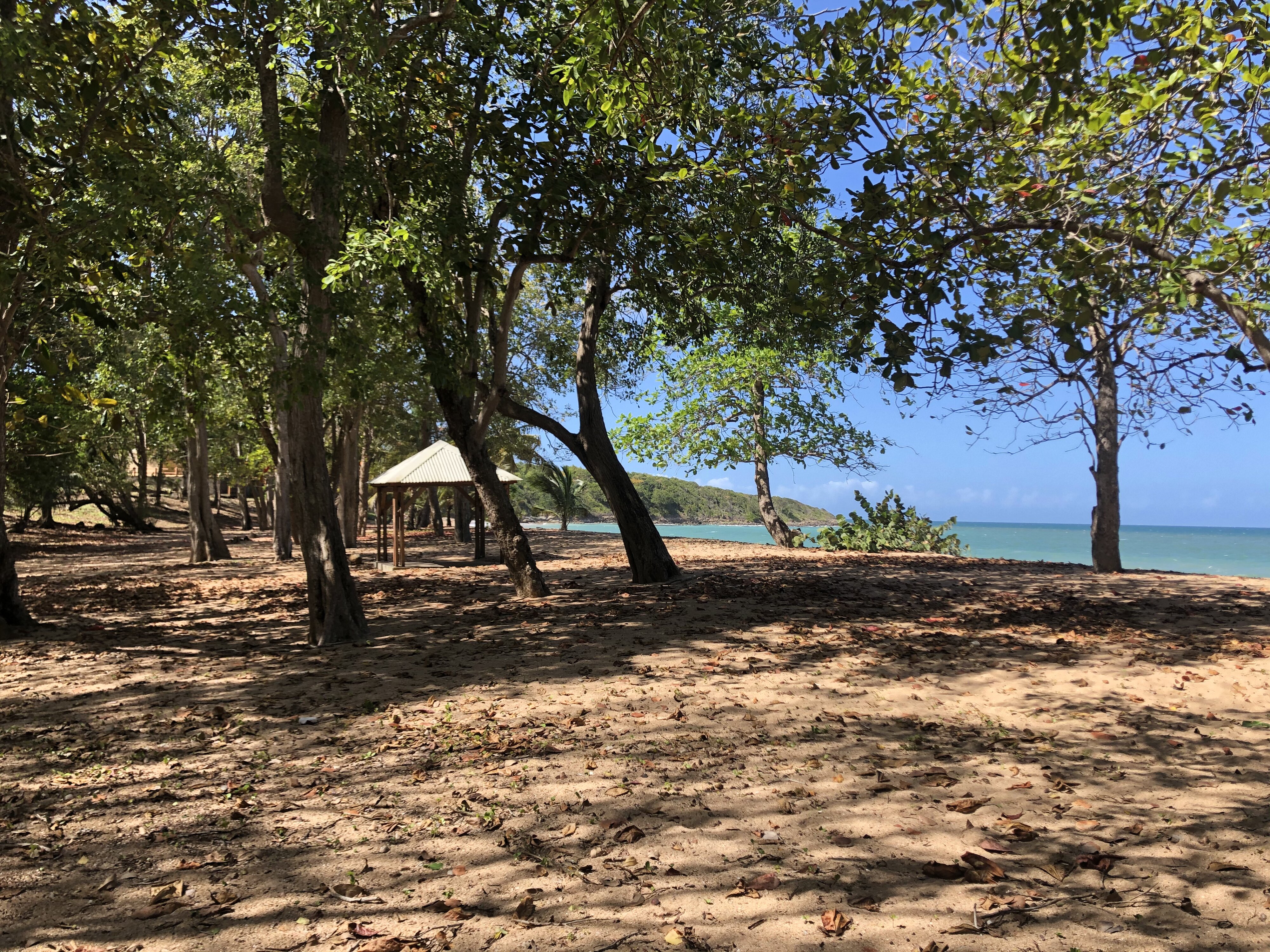 รูปถ่าย กวาเดอลูป(Guadeloupe) แซ็นต์โรส(Sainte Rose) 2021-02 10