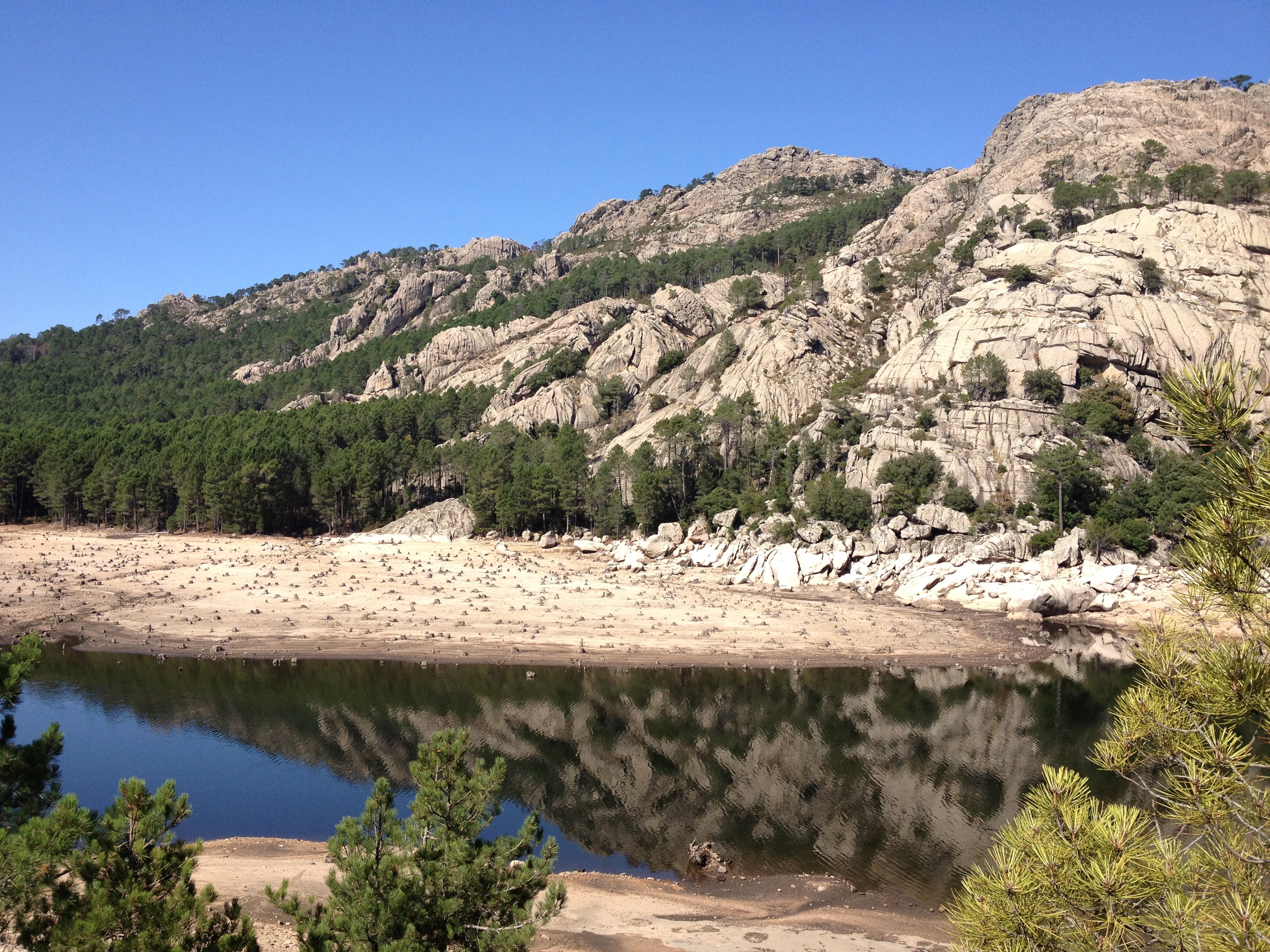 รูปถ่าย ฝรั่งเศส(France) คอร์สิคา(Corsica) ป่าลอสเปดาเล(L'ospedale Forest) 2012-09 49