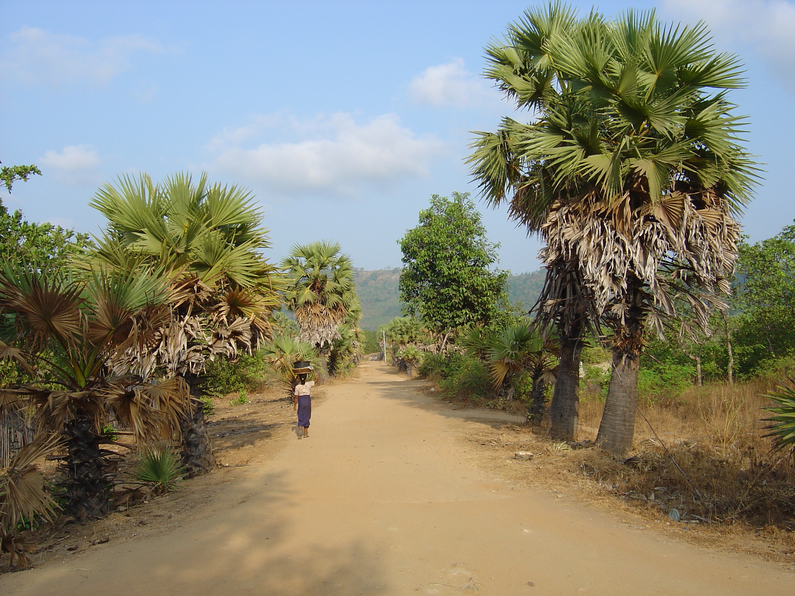 รูปถ่าย พม่า(Myanmar) หาดหม่องมะกัน(Maungmagan beach) 2005-01 35